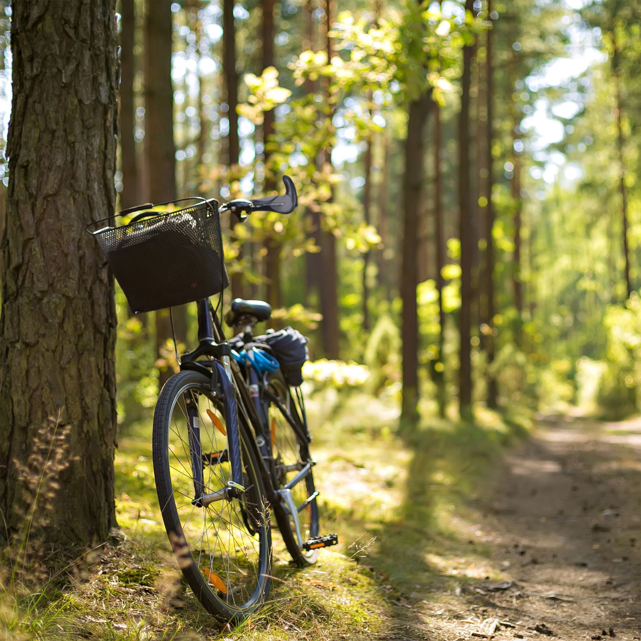 Fahrradgriffe ergonomisch Schwarz-Grau von Relaxdays