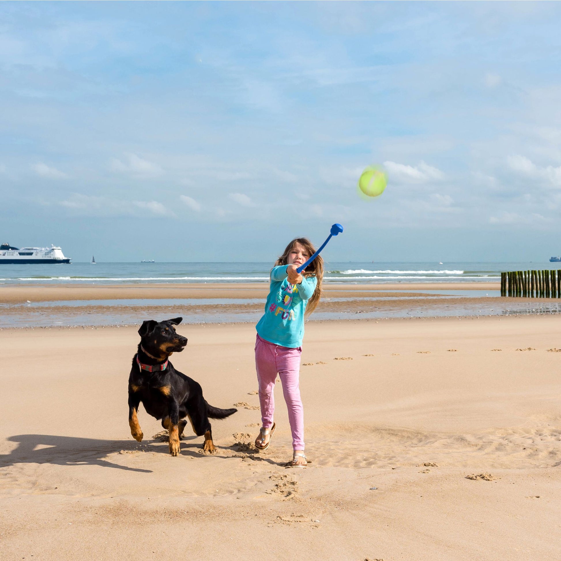 Ballschleuder für Hunde 4er-Set Blau-Gelb-Grün von Relaxdays