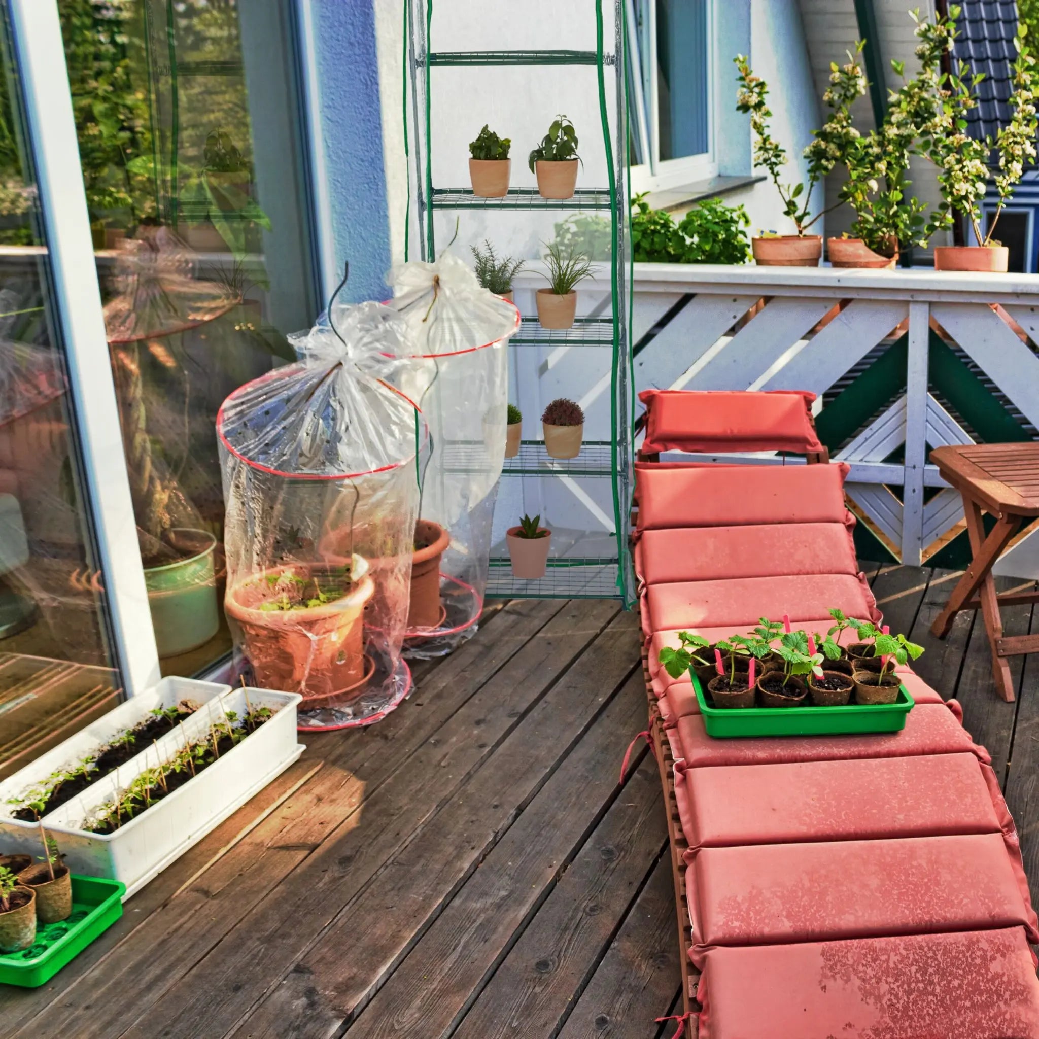 Balkon-Gewächshaus mit PVC-Folie Dunkelgrün-Transparent von Relaxdays