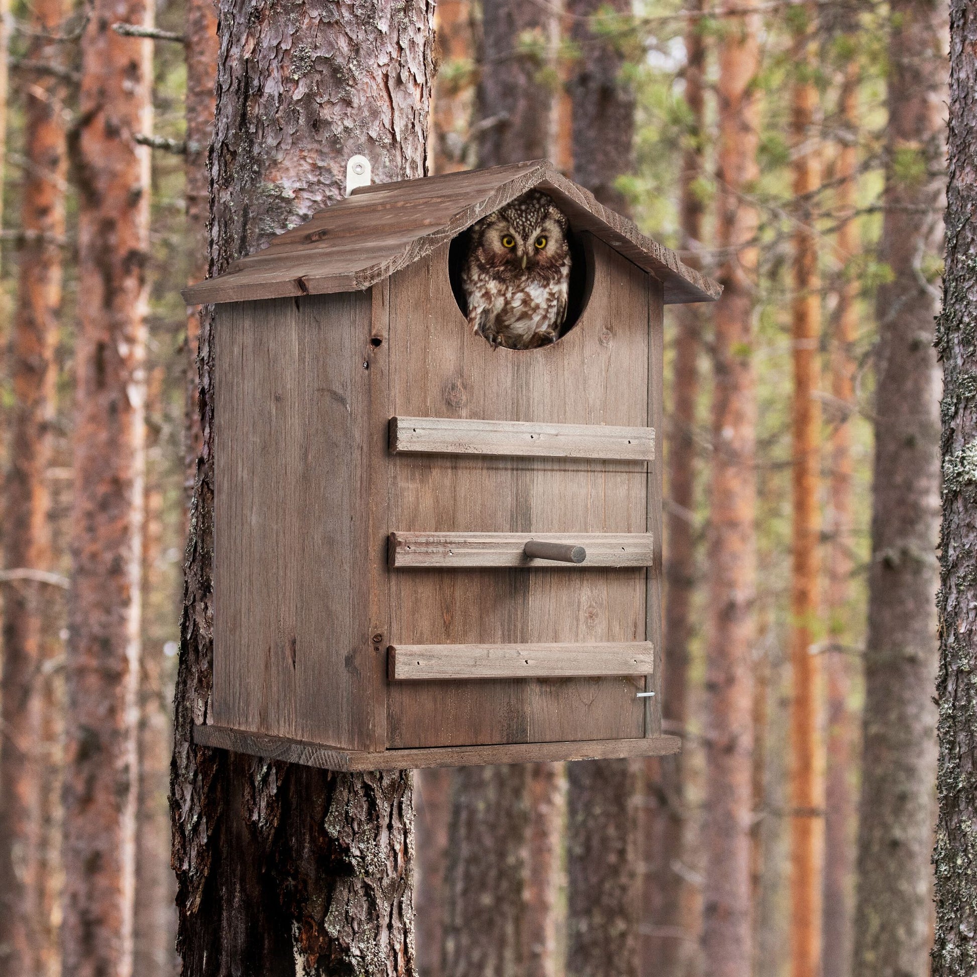 Eulen Nistkasten Holz Braun von Relaxdays