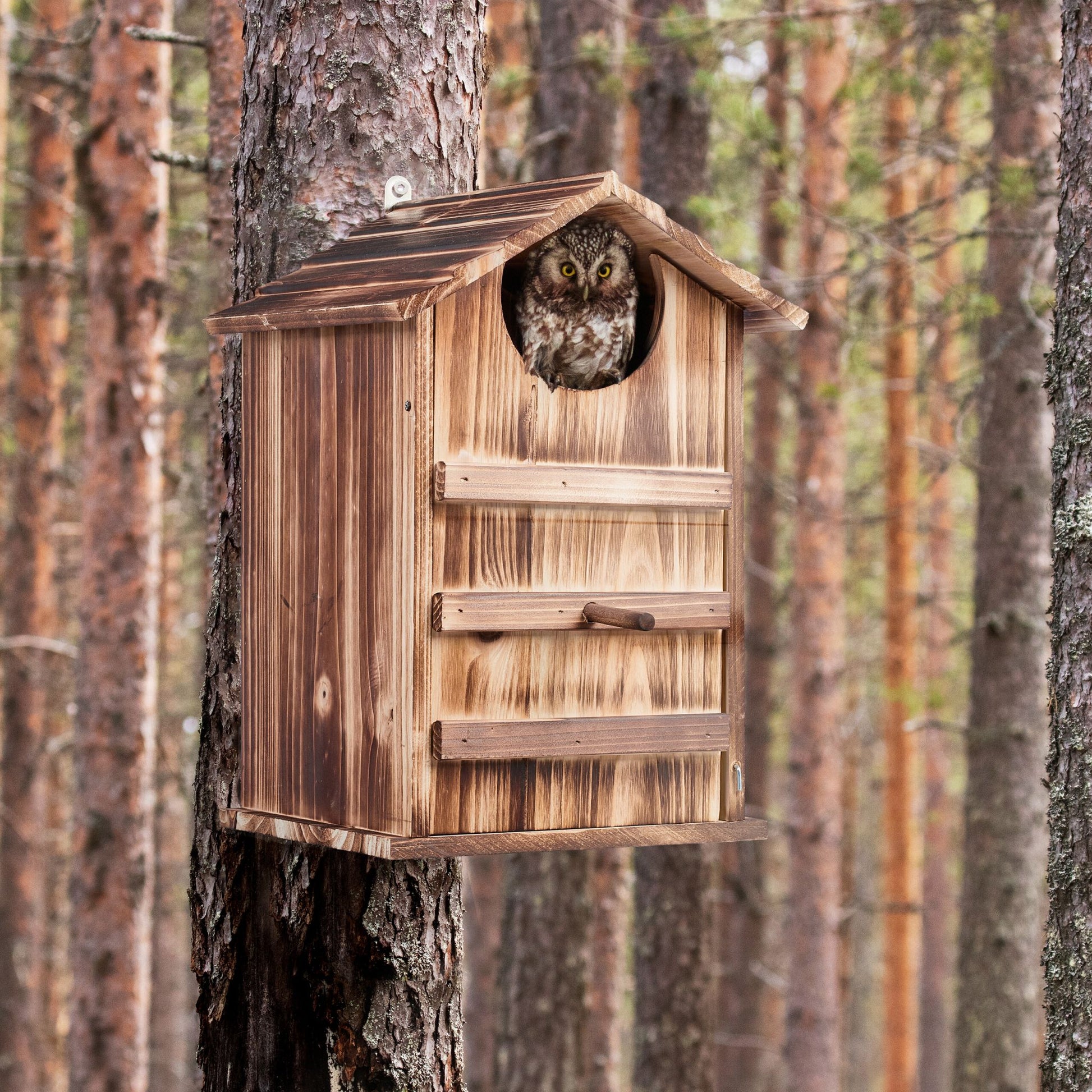 Eulen Nistkasten Holz Hellbraun von Relaxdays
