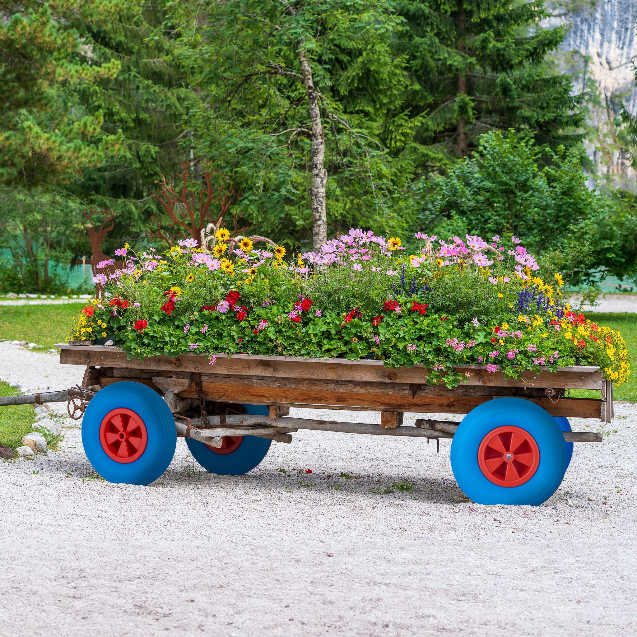 Schubkarrenrad 3.50-6 in Blau/Rot Blau-Rot von Relaxdays