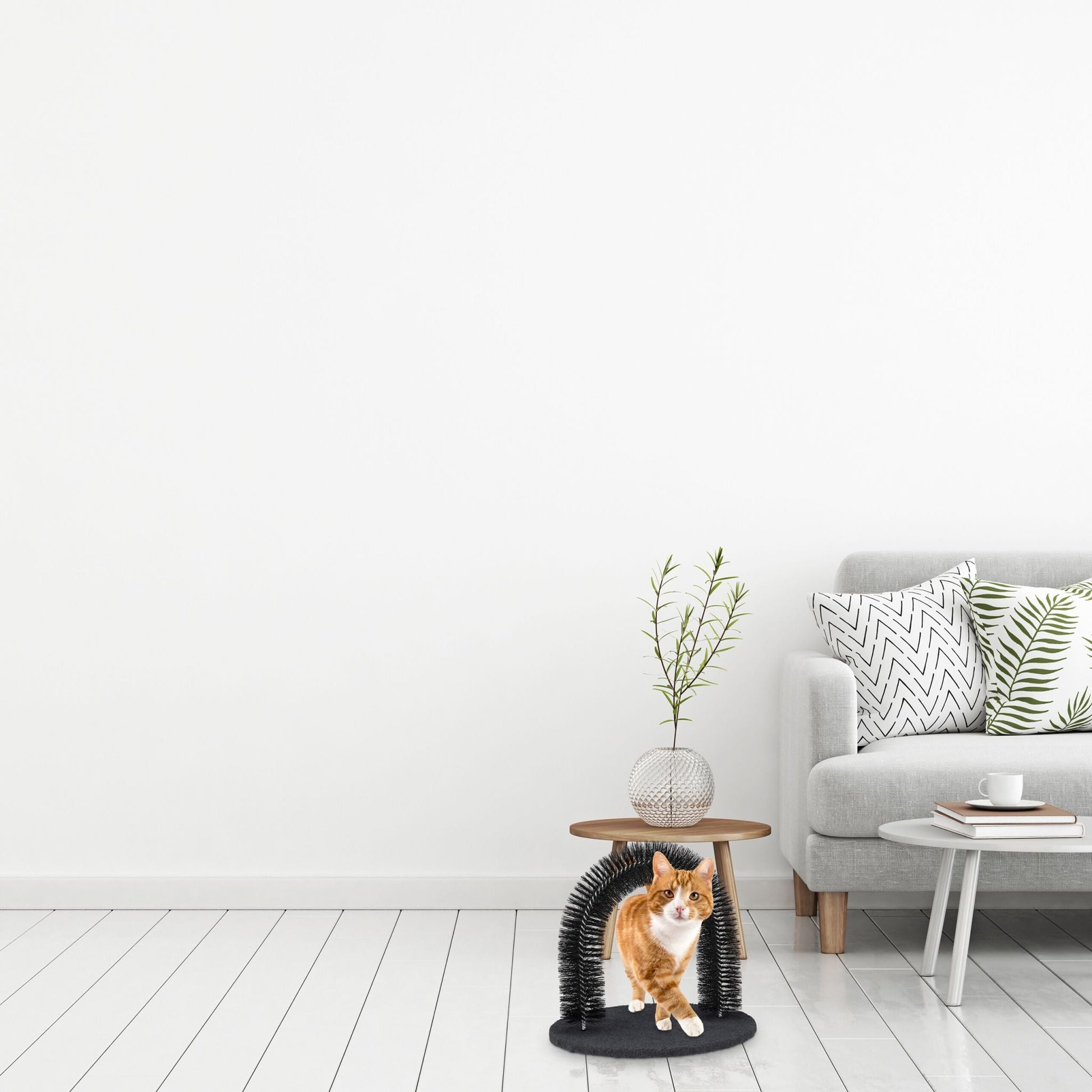 Enthaarungsbogen für Katzen Schwarz von Relaxdays