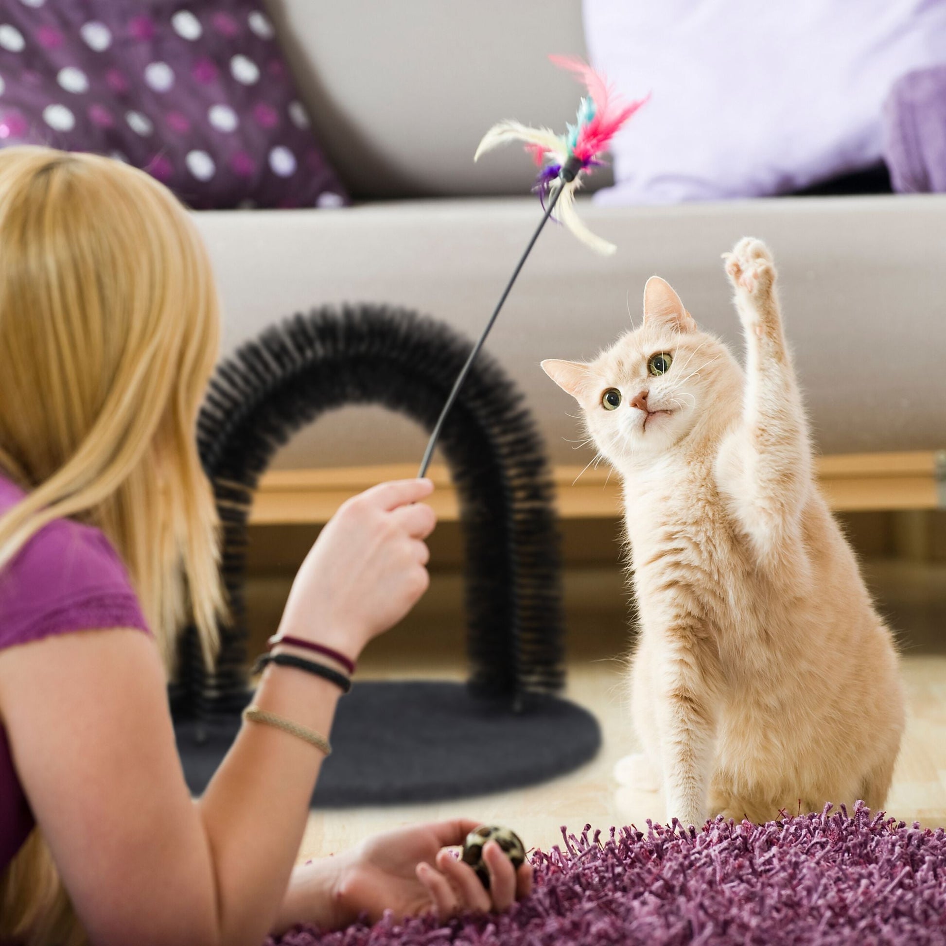 Enthaarungsbogen für Katzen Schwarz von Relaxdays