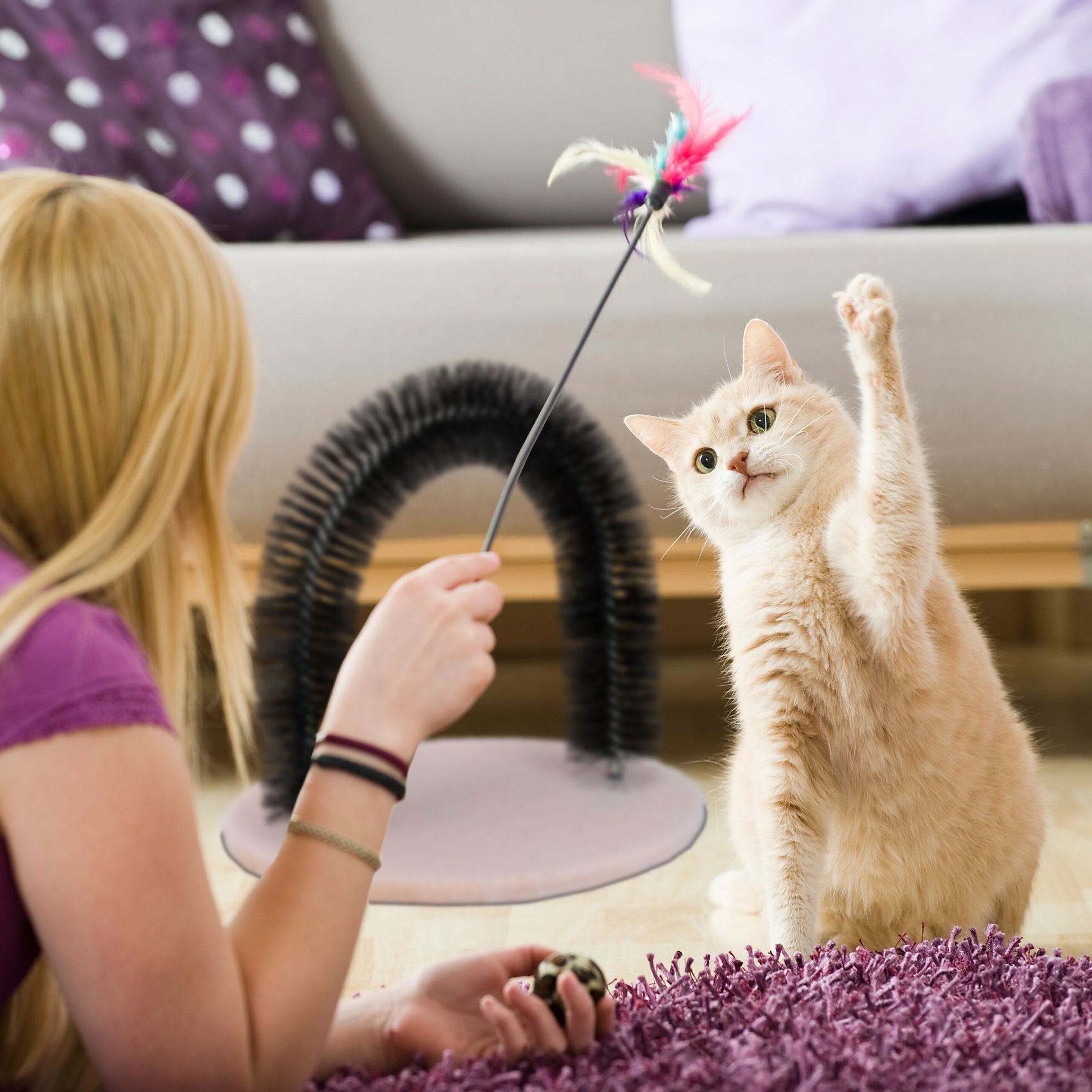Enthaarungsbogen für Katzen Beige-Schwarz von Relaxdays