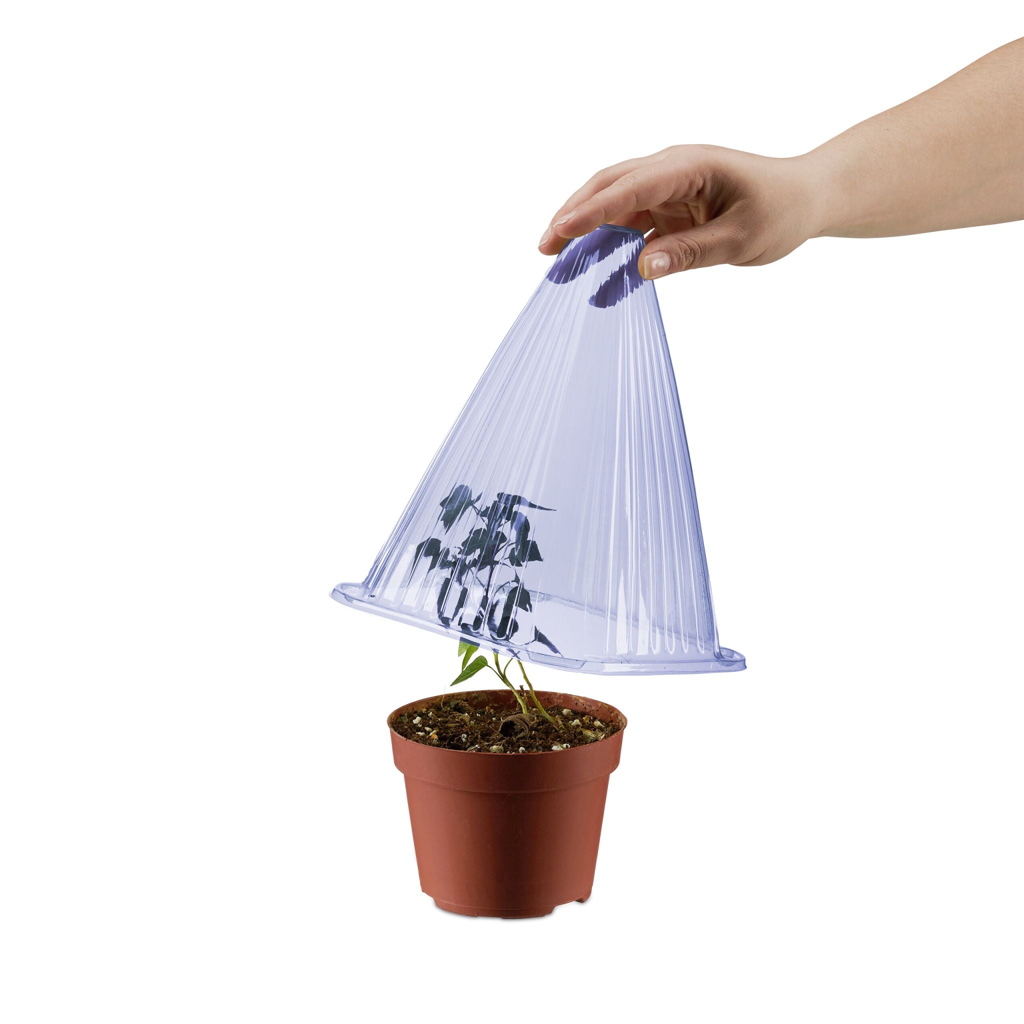 Pflanzenhut 32er-Set Lila von Relaxdays