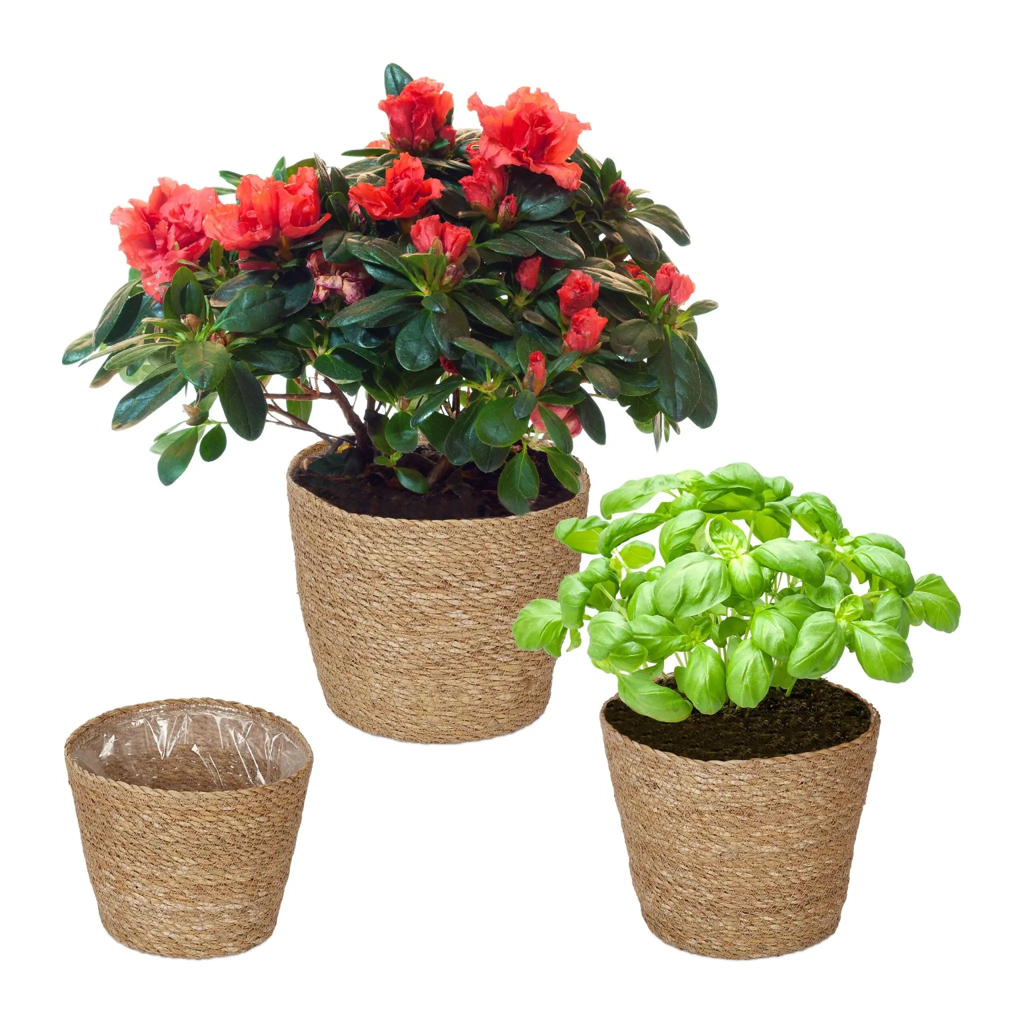 Seegras Blumentopf 3er-Set Hellbraun von Relaxdays