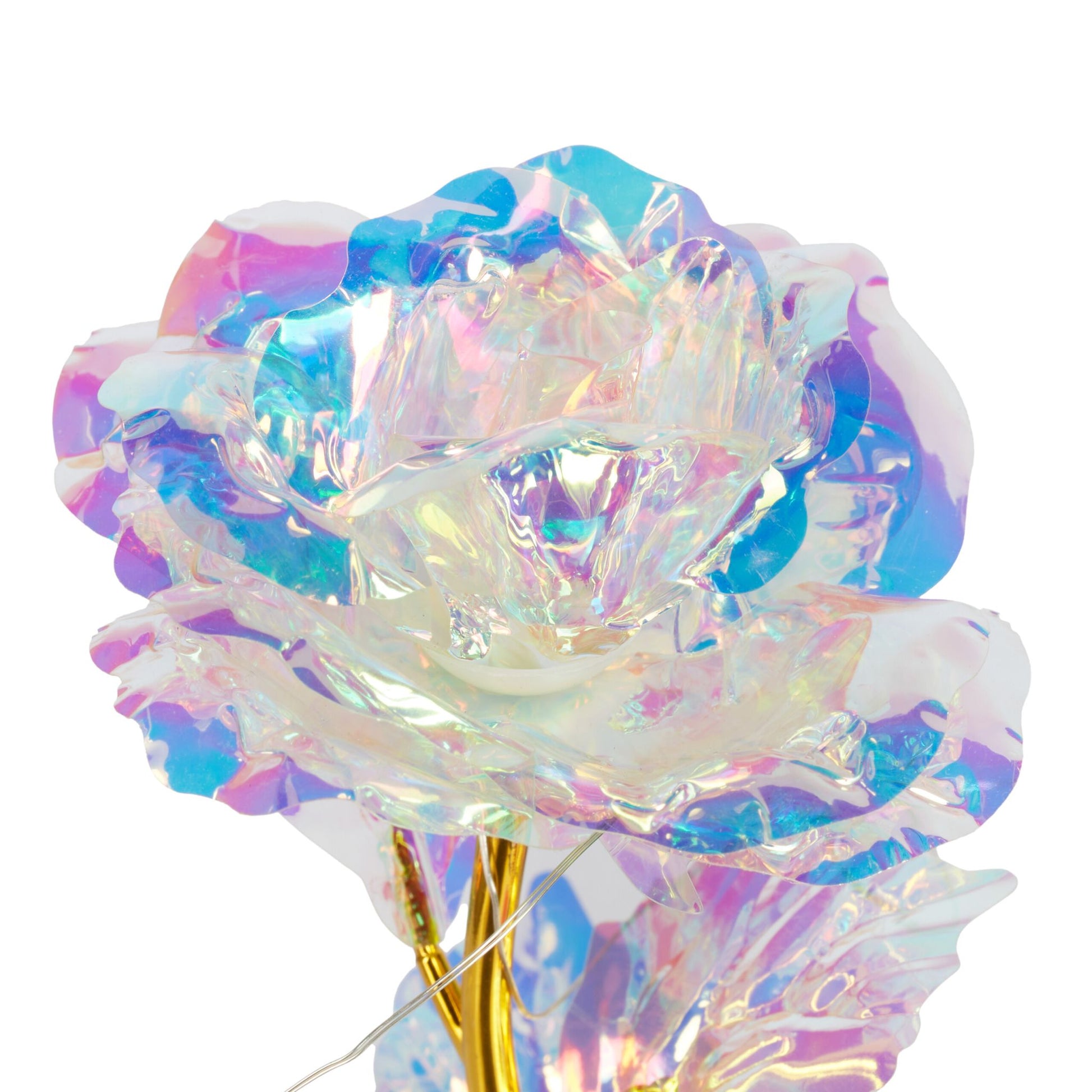 Ewige Rose Glas Gold-Schwarz-Transparent von Relaxdays