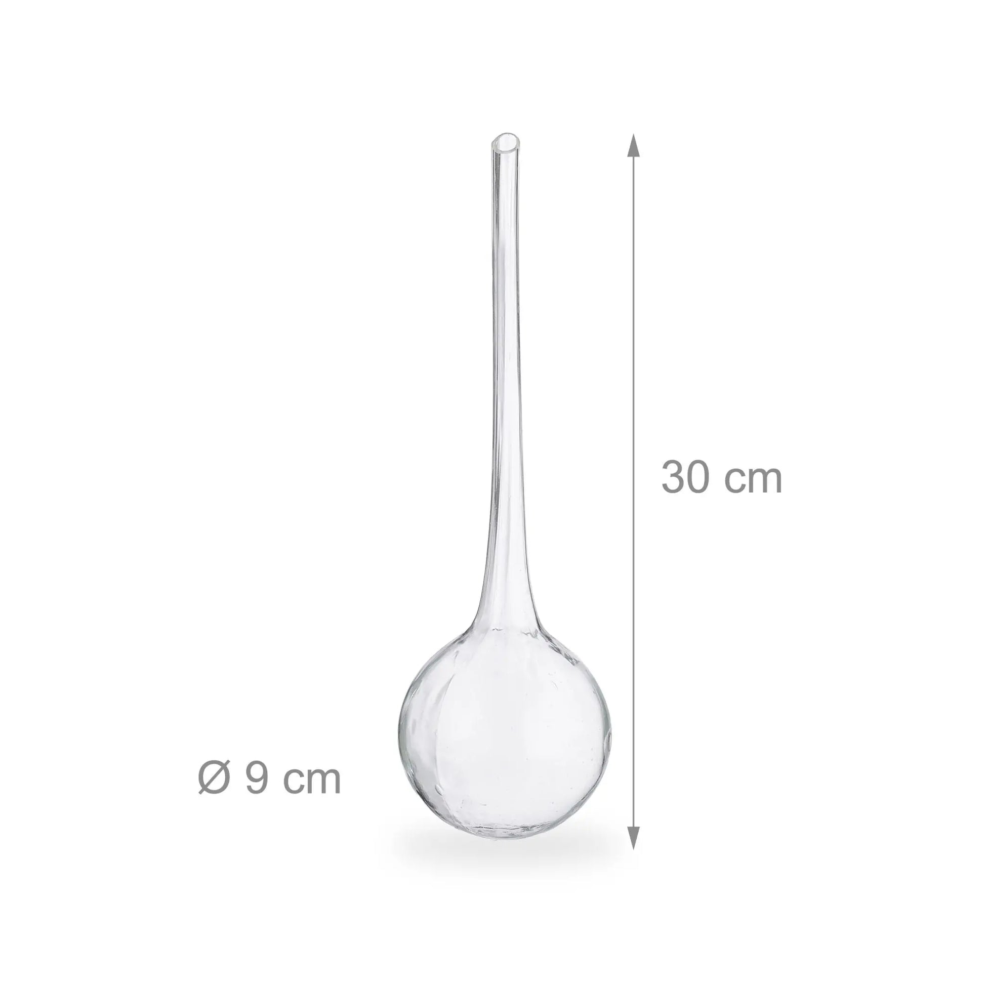 Bewässerungskugeln Glas 4er-Set Transparent von Relaxdays