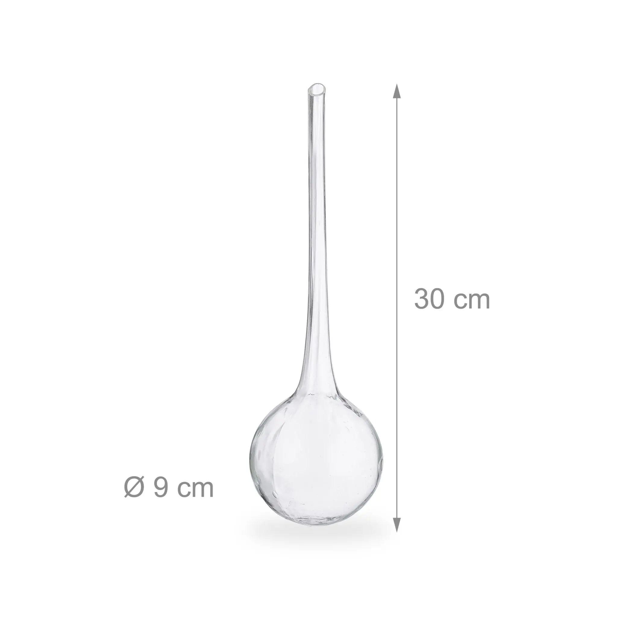 Bewässerungskugeln Glas 4er-Set Transparent von Relaxdays