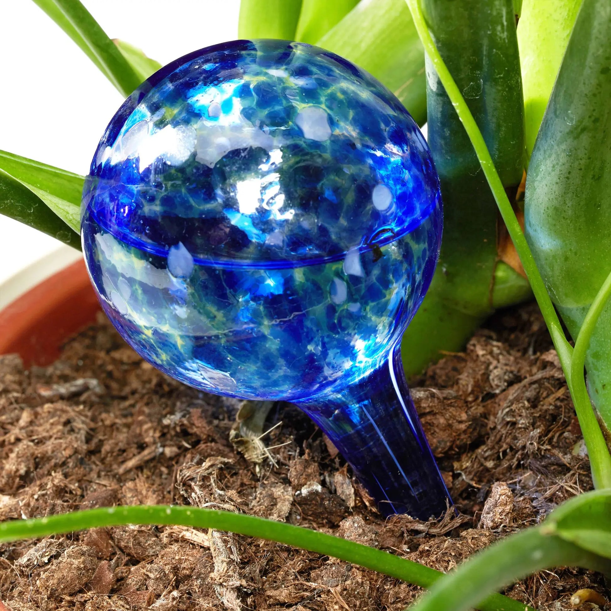 Bewässerungskugeln Glas 4er-Set Blau-Grün-Rot von Relaxdays