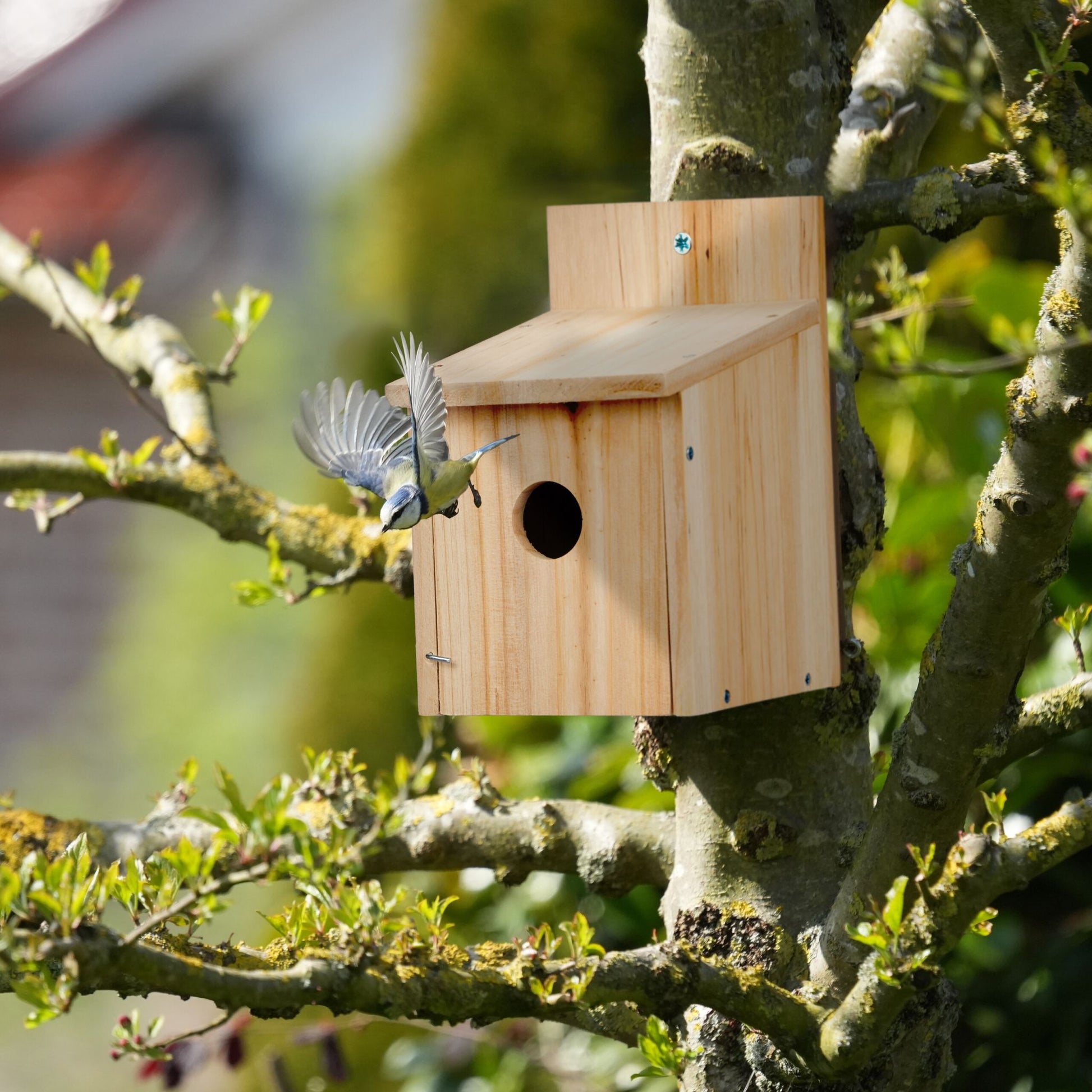 Nistkasten Bausatz für Vögel Hellbraun von Relaxdays