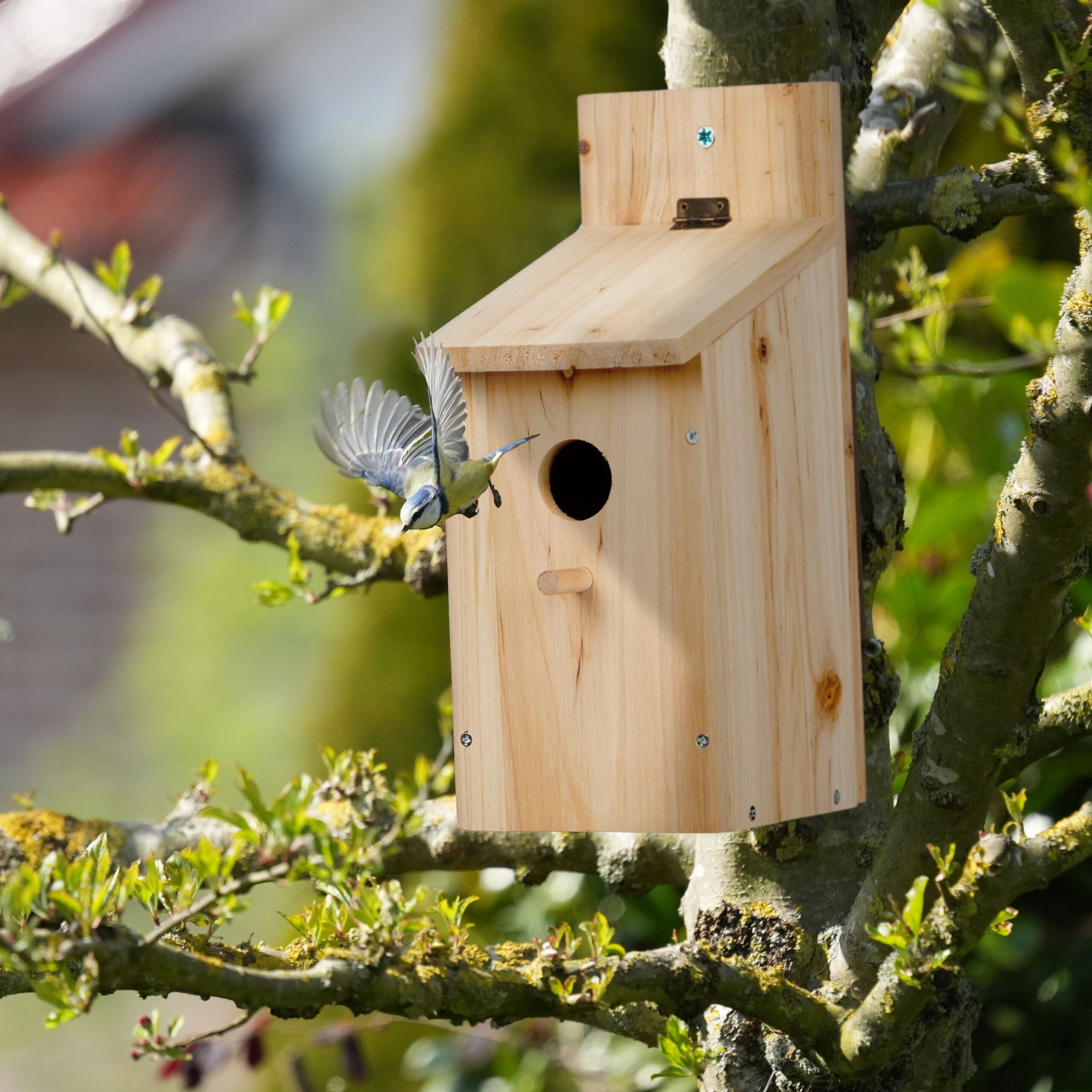 Nistkasten Bausatz für Vögel Hellbraun von Relaxdays