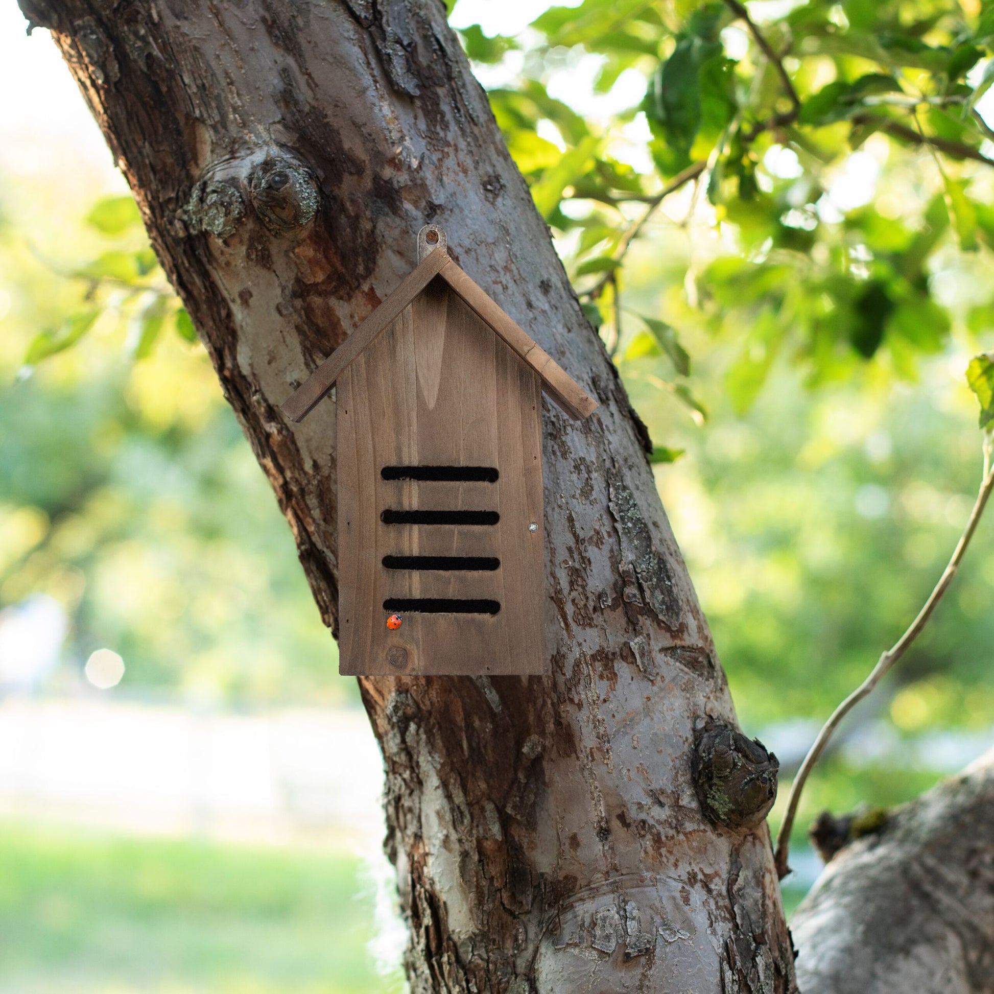 Marienkäferhaus Holz braun Braun von Relaxdays