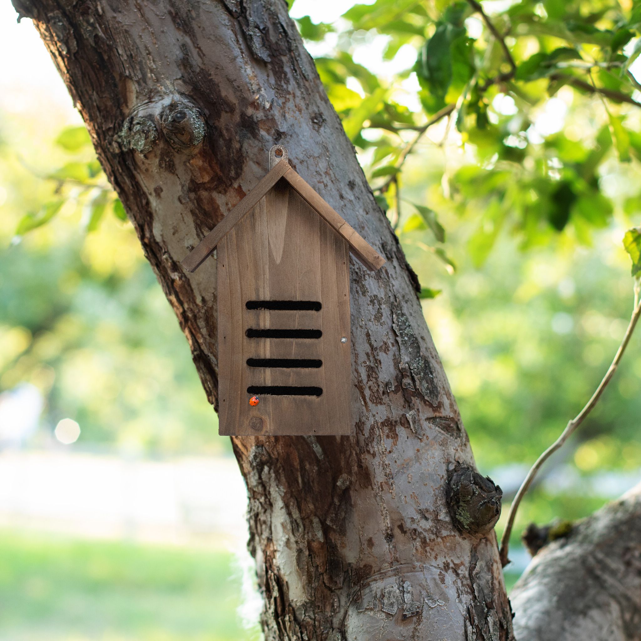 Marienkäferhaus Holz braun Braun von Relaxdays