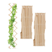 Ausziehbares Rankgitter Holz 3er-Set Hellbraun von Relaxdays