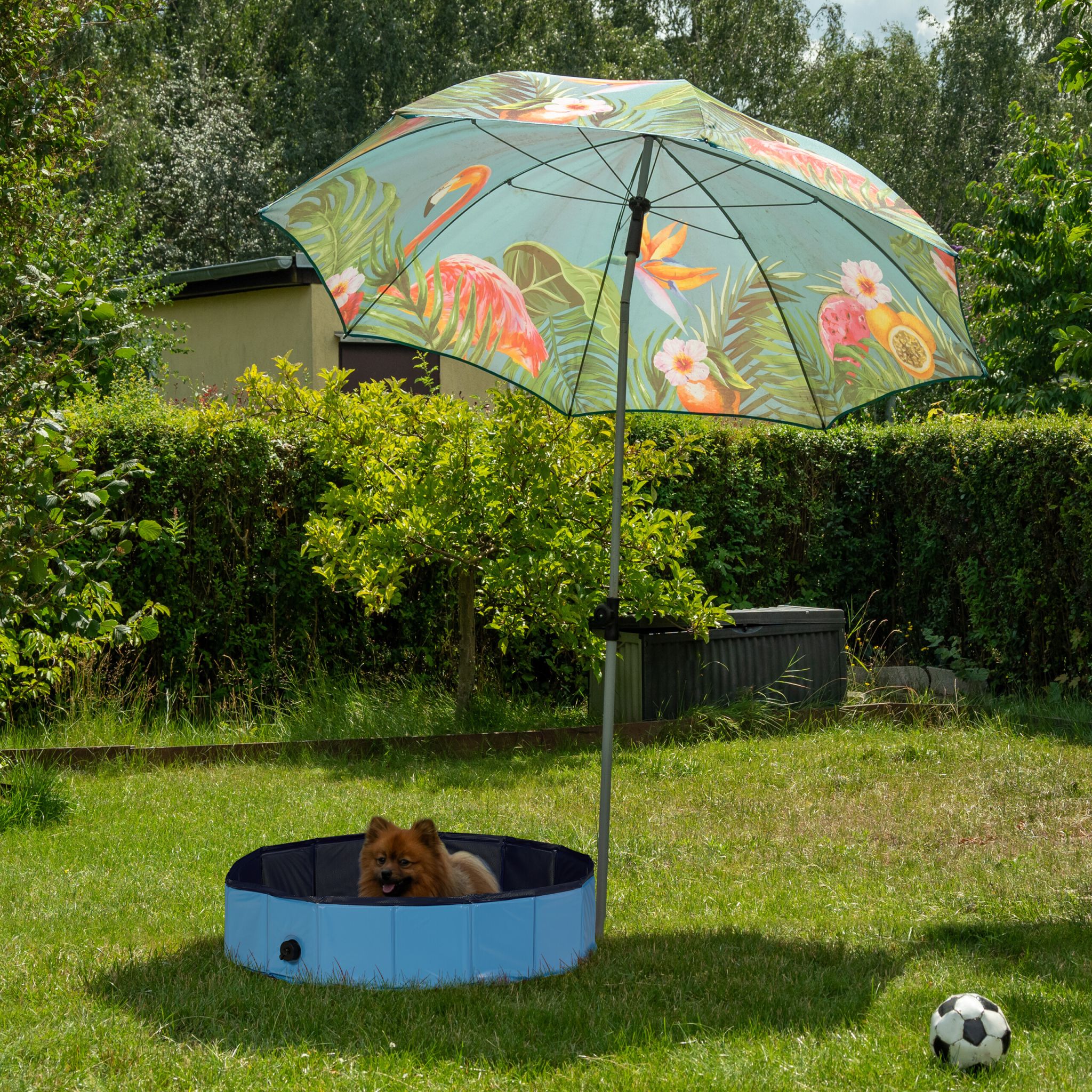 Hundepool 80x20cm Dunkelblau-Hellblau-Schwarz von Relaxdays