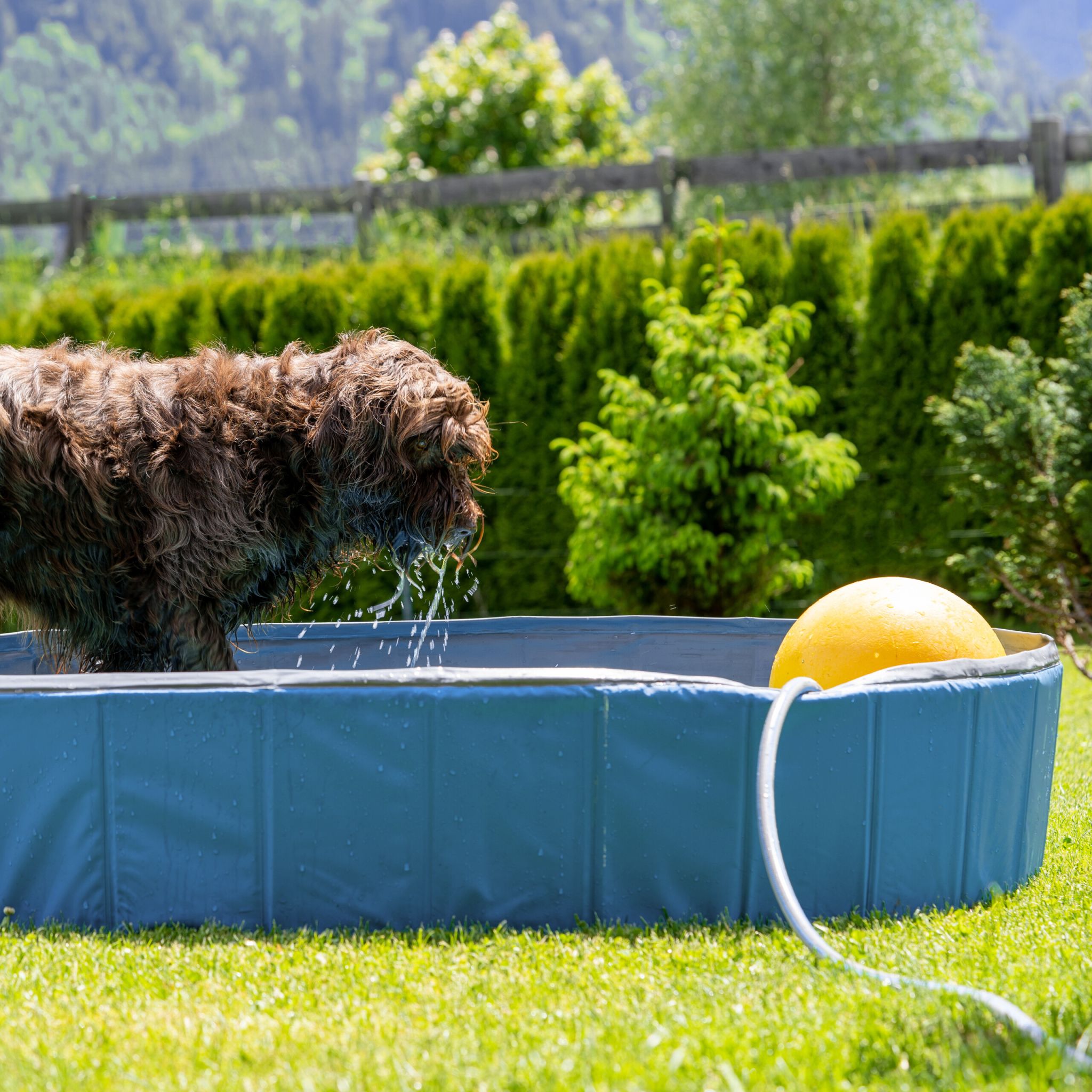 Hundepool 160x30cm Dunkelblau-Hellblau-Schwarz von Relaxdays