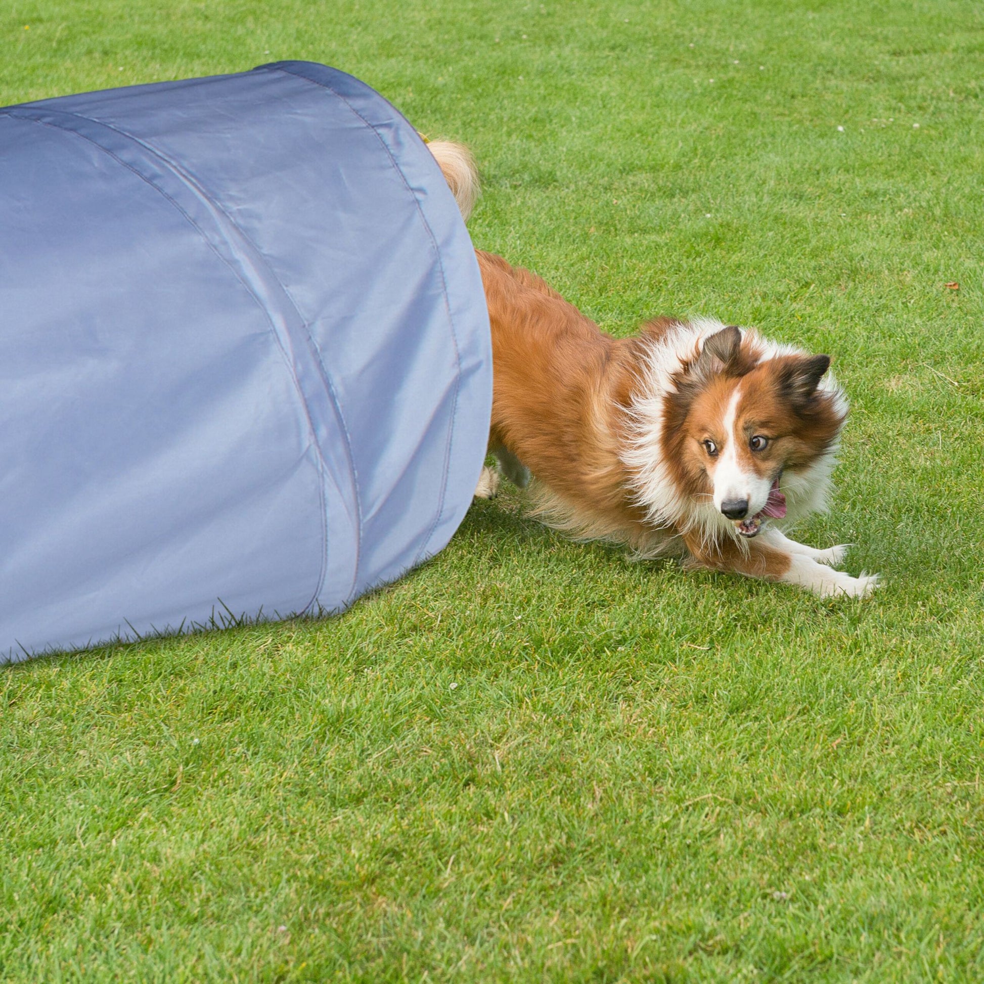 Hundetunnel Agility 2m Grau von Relaxdays