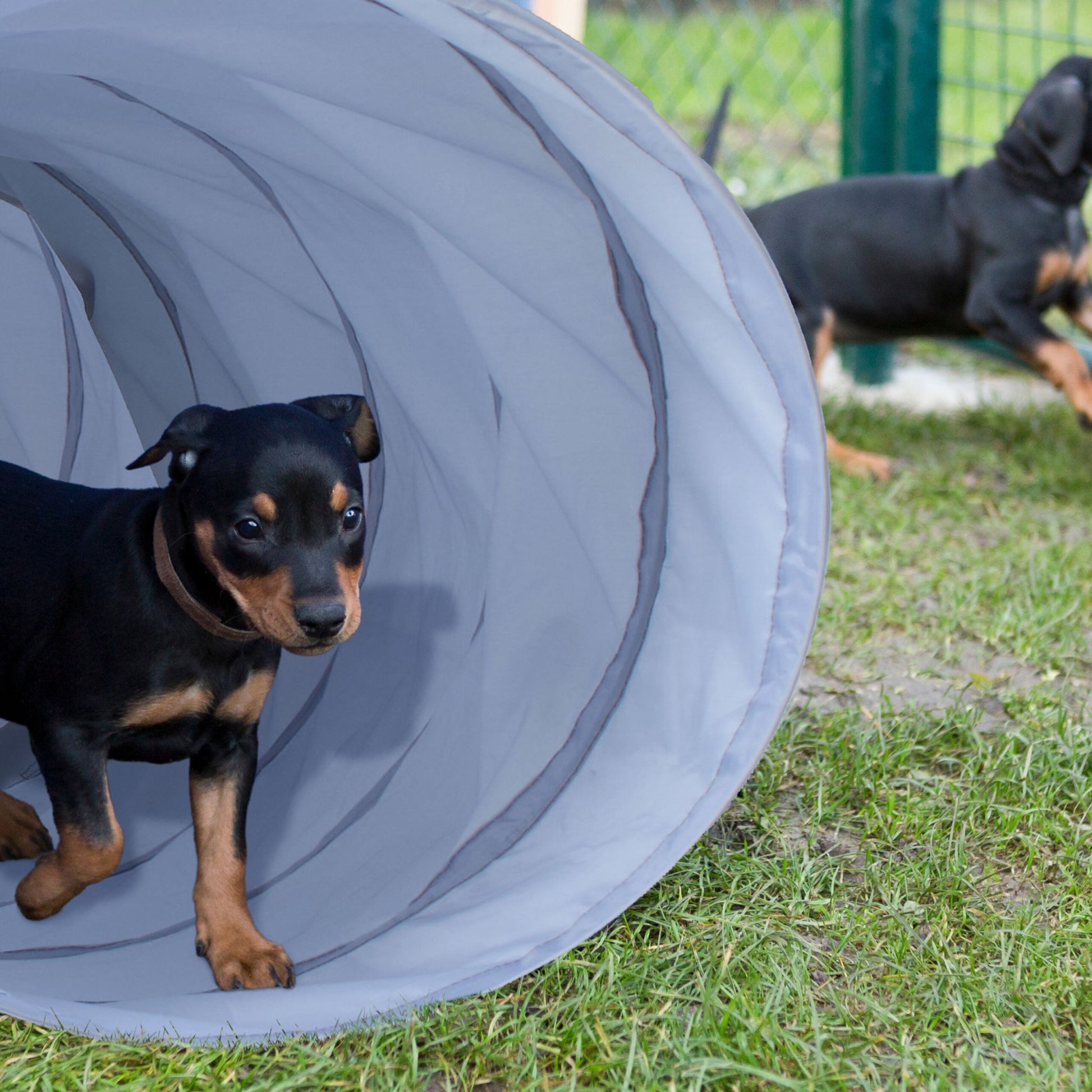 Hundetunnel Agility 2m Grau von Relaxdays