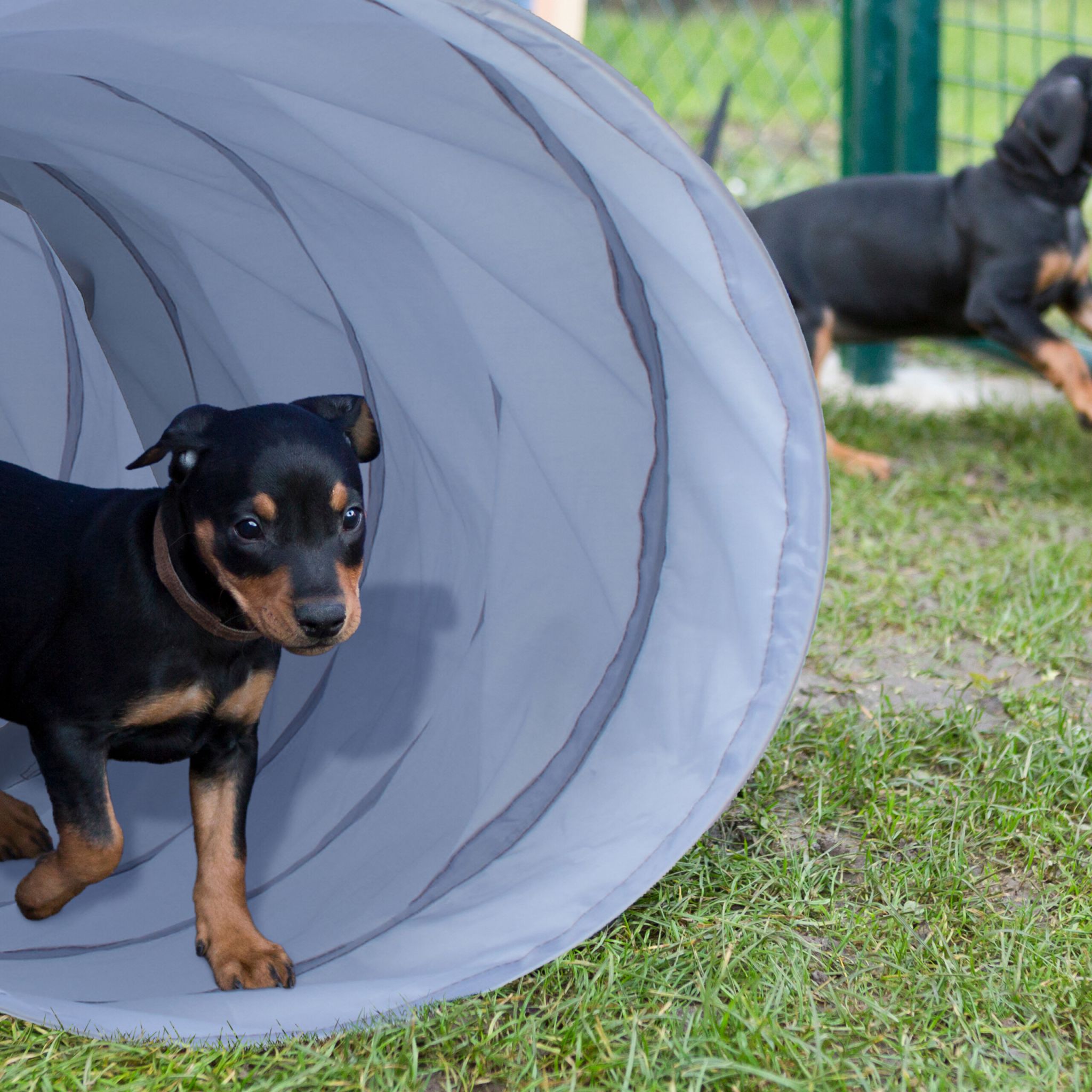 Hundetunnel Agility 2m Grau von Relaxdays