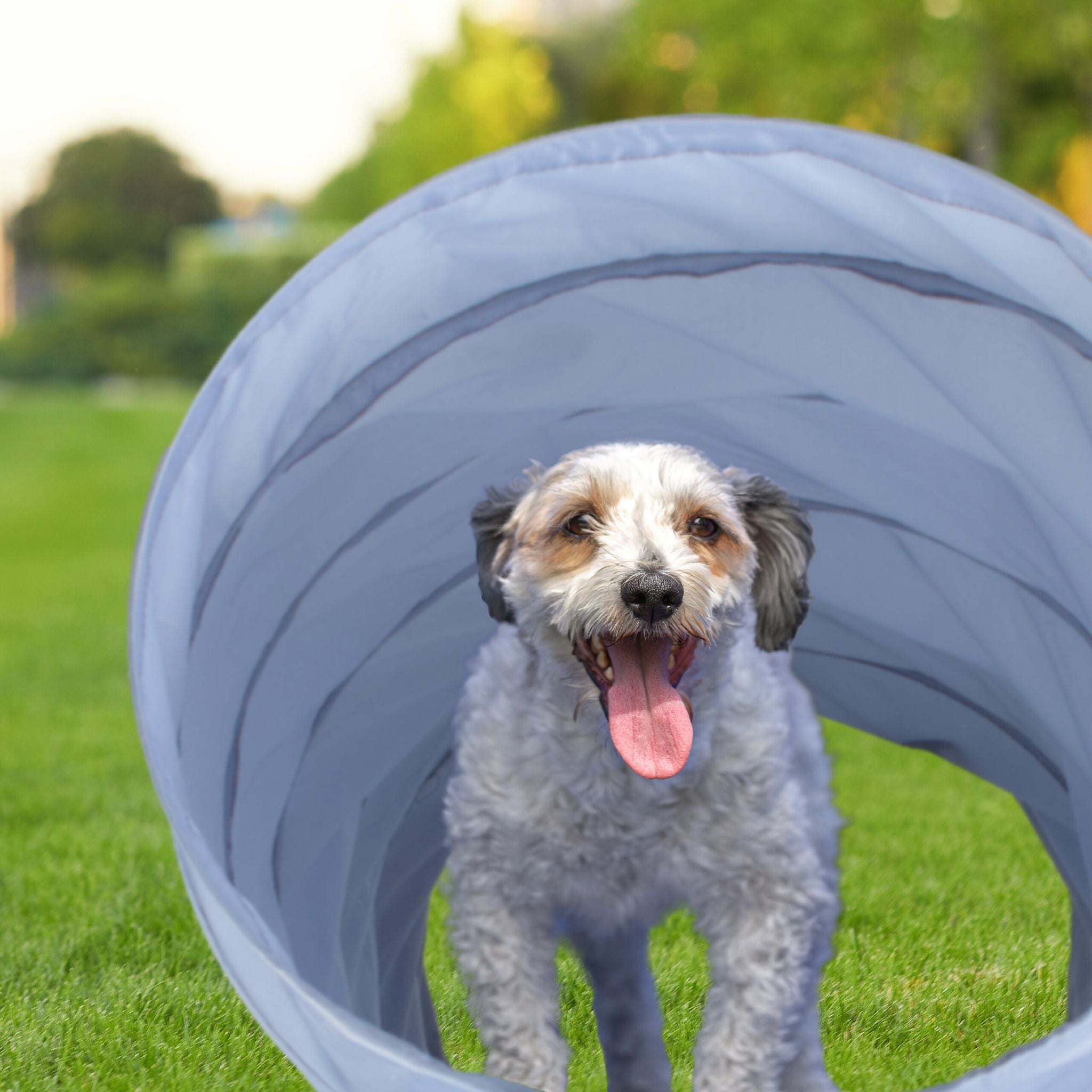 Hundetunnel Agility 2m Grau von Relaxdays