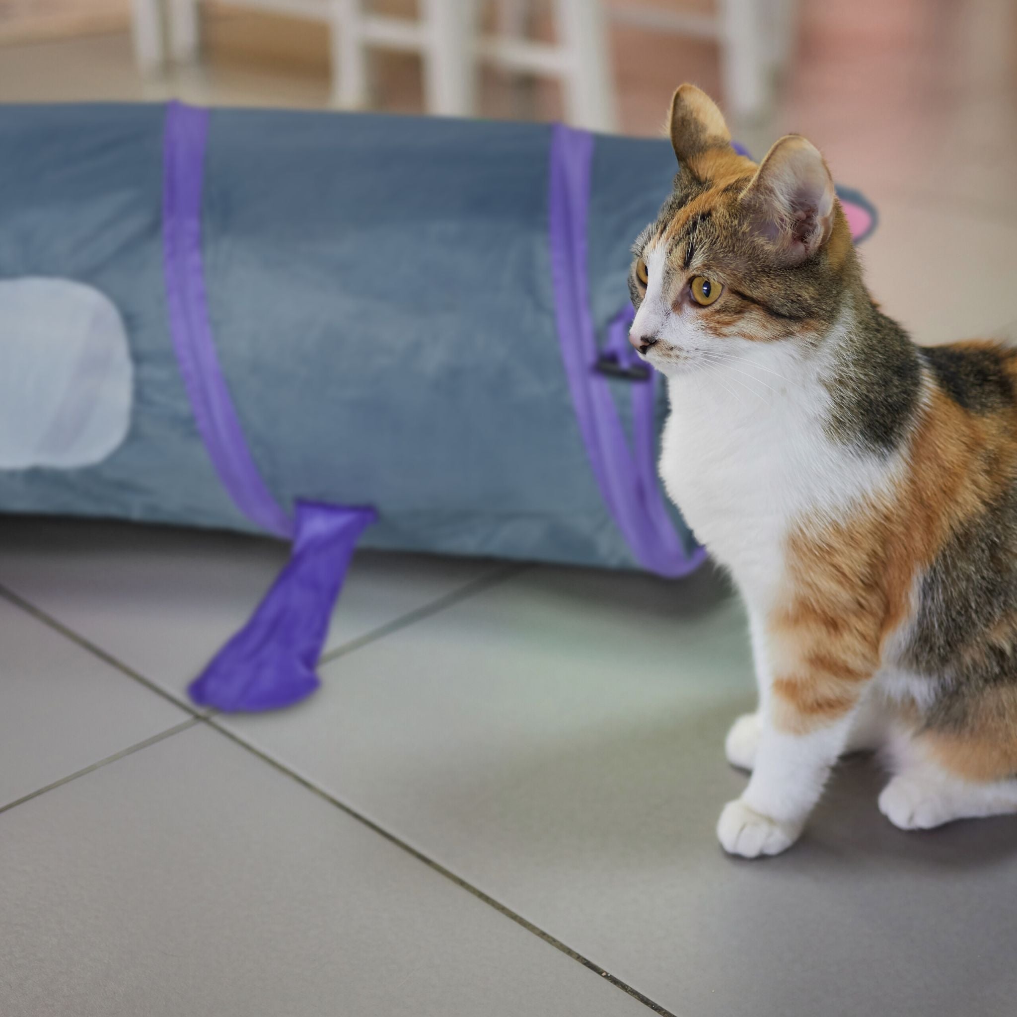 Pop-Up Katzentunnel mit Mausdesign Lila-Grau von Relaxdays