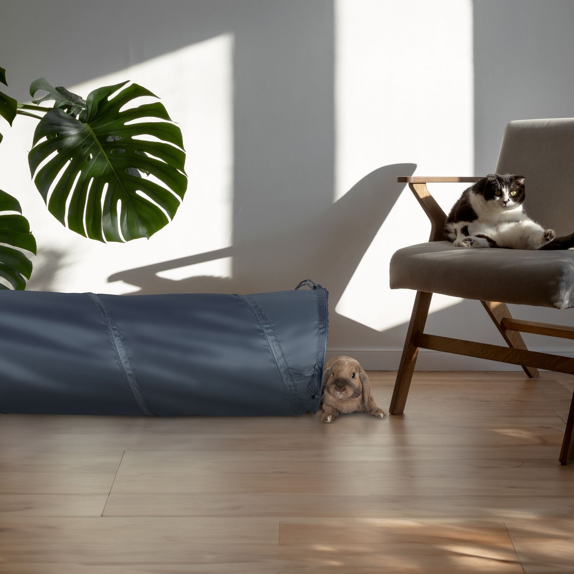 Faltbarer Katzentunnel mit Spielzeug Creme-Grau von Relaxdays