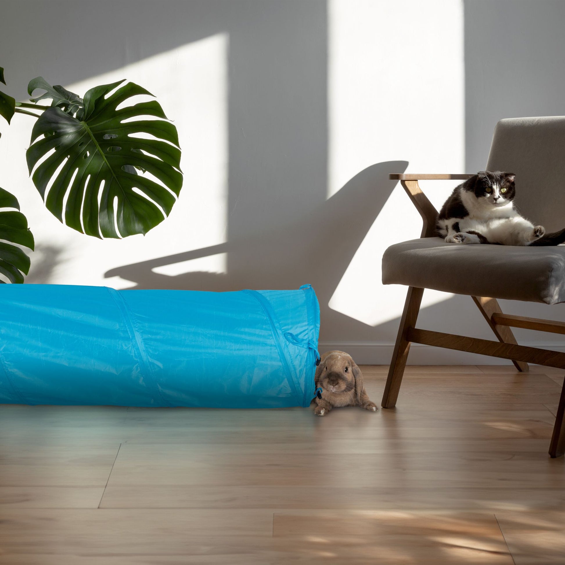 Faltbarer Katzentunnel mit Spielzeug Blau-Creme von Relaxdays