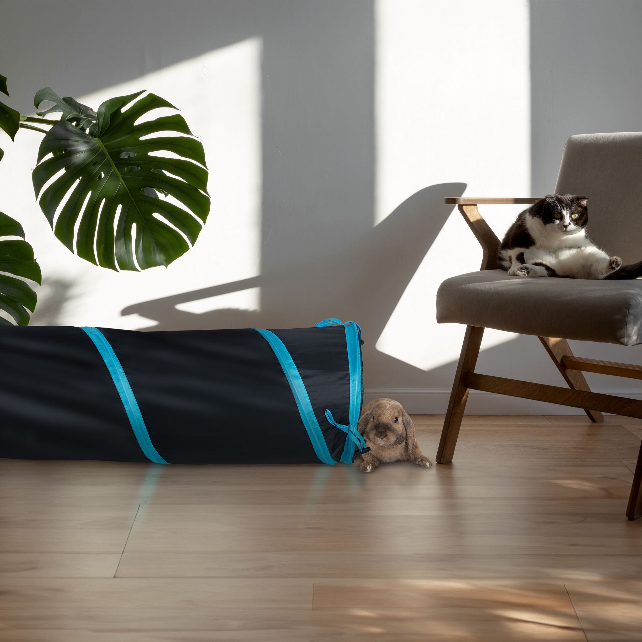 Faltbarer Katzentunnel mit Spielzeug Blau-Creme-Schwarz von Relaxdays