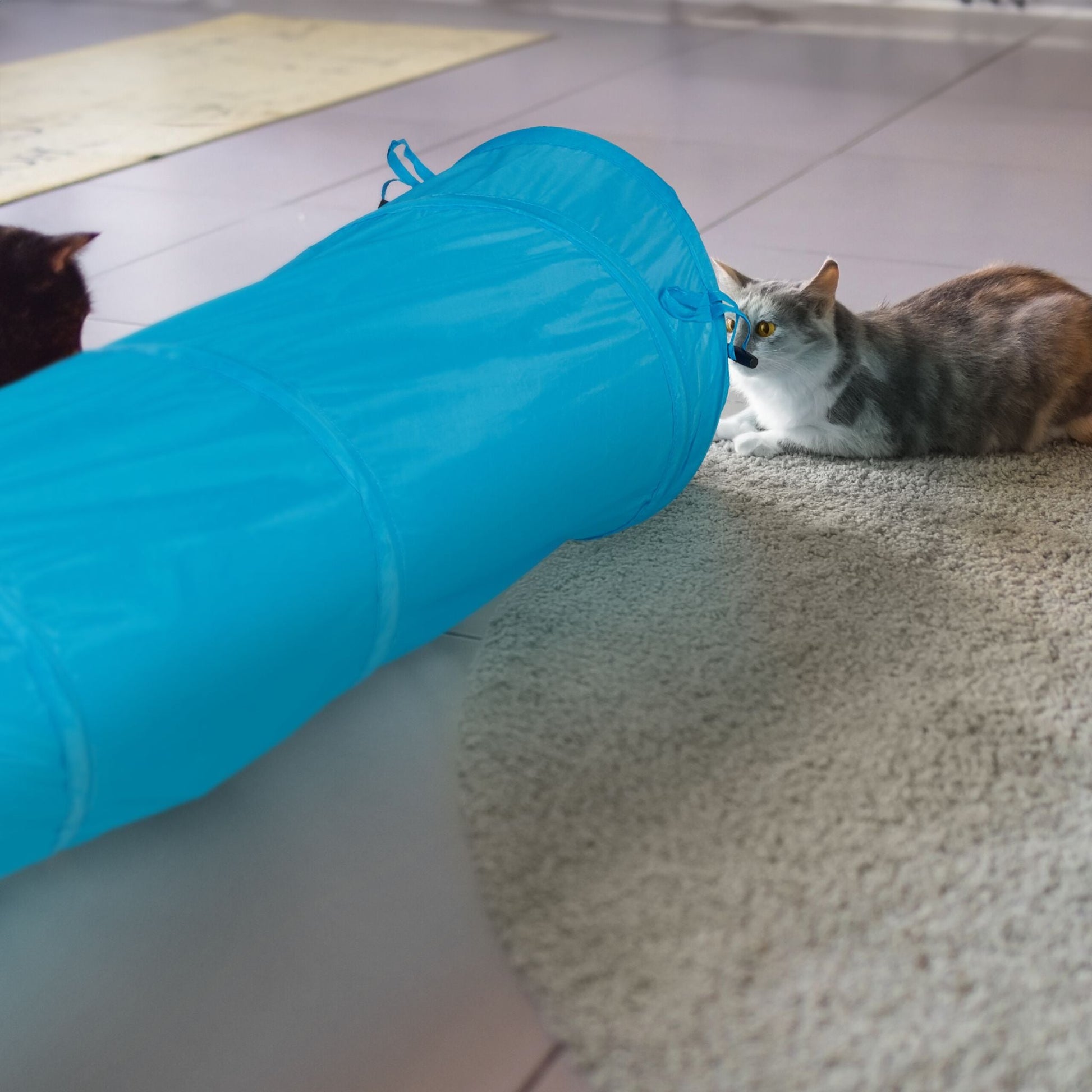 Faltbarer Katzentunnel mit Spielzeug Blau-Creme-Schwarz von Relaxdays