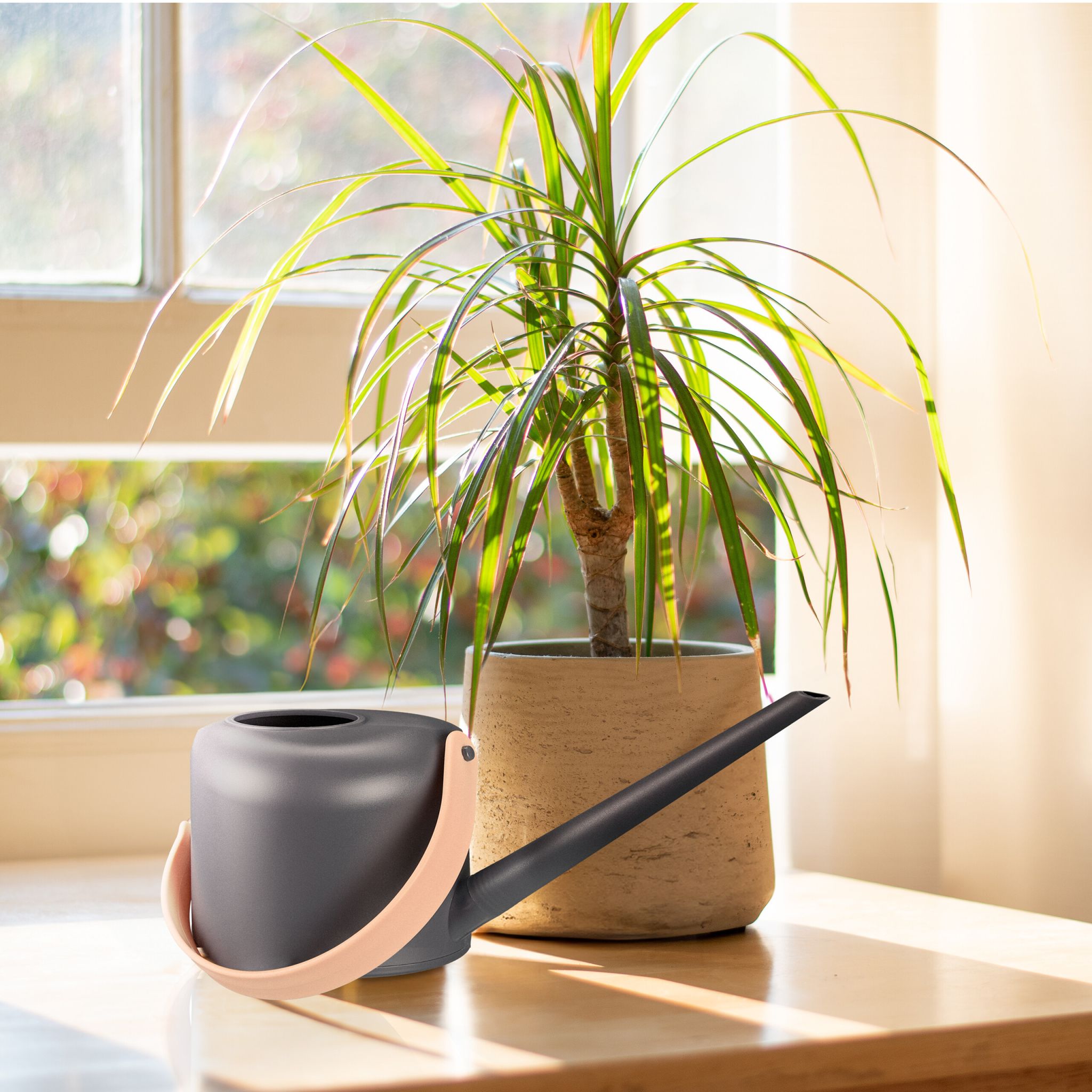 Giesskanne Zimmerpflanzen 1,7 Liter Anthrazit-Hellbraun von Relaxdays