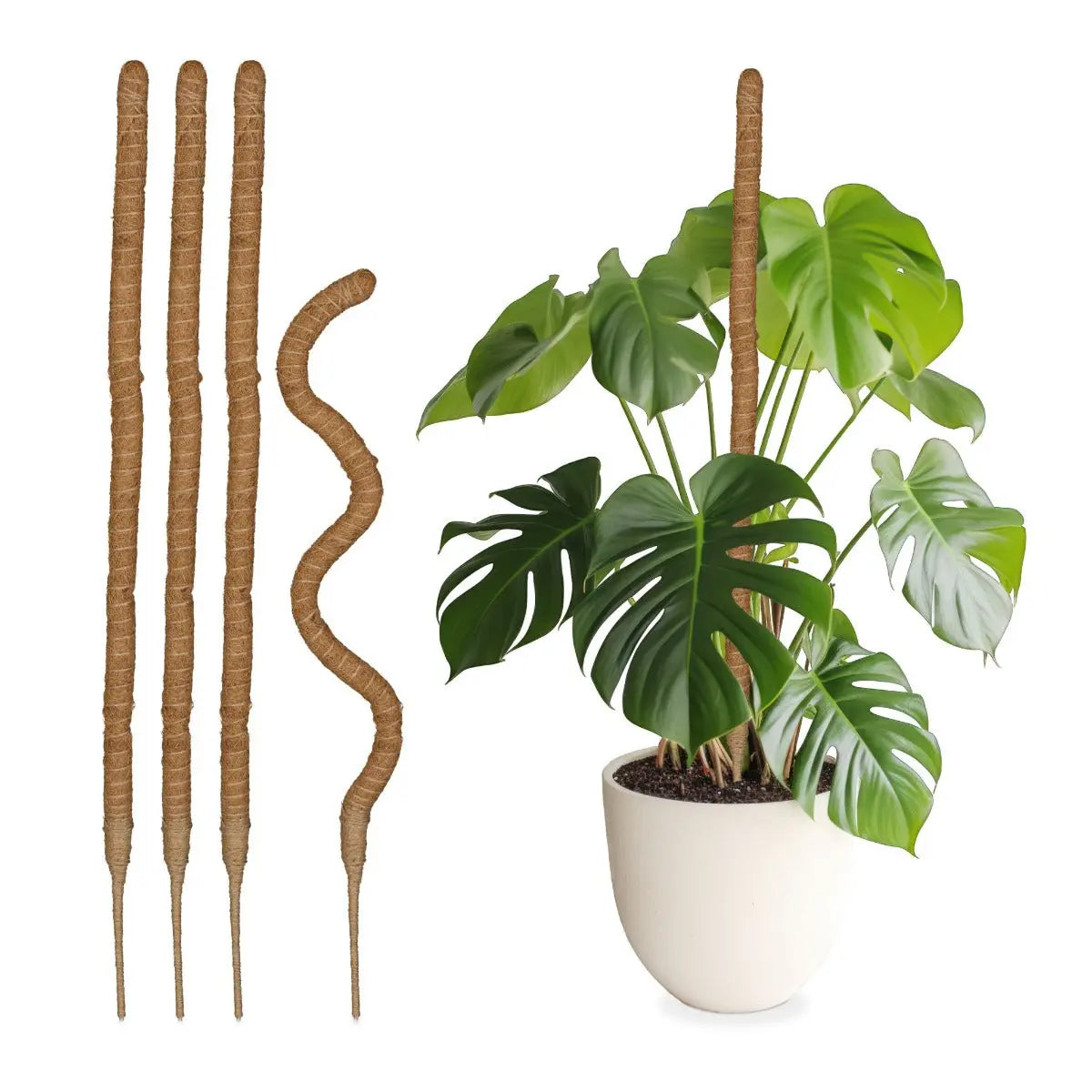 Rankhilfe 5er Set Kokosstäbe 90 cm von guteszeug.ch