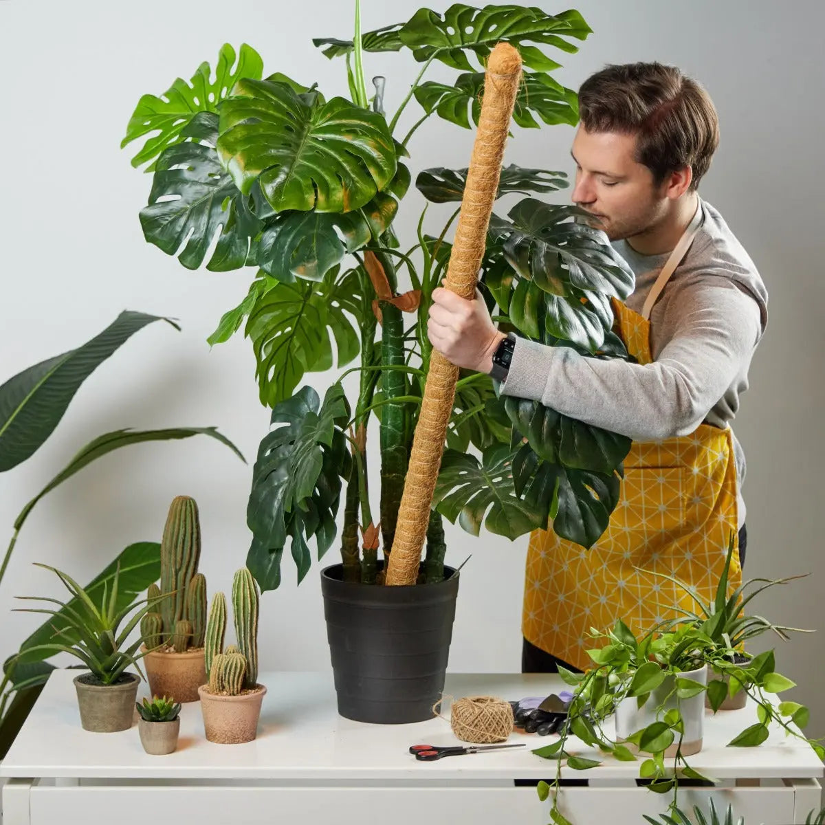 Rankhilfe 5er Set Kokosstäbe 90 cm von guteszeug.ch