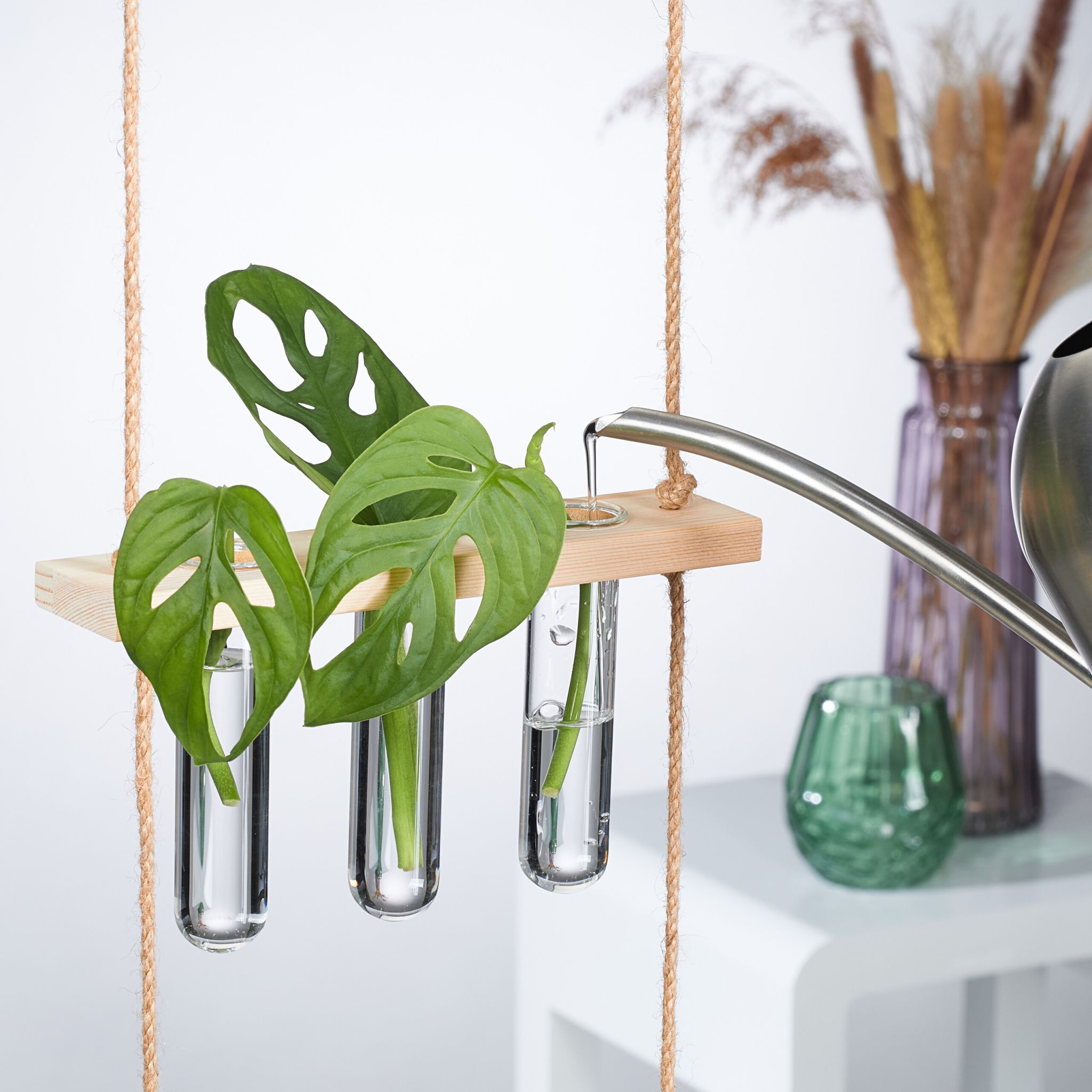 Hängende Pflanzen Vermehrungsstation Hellbraun-Transparent von Relaxdays