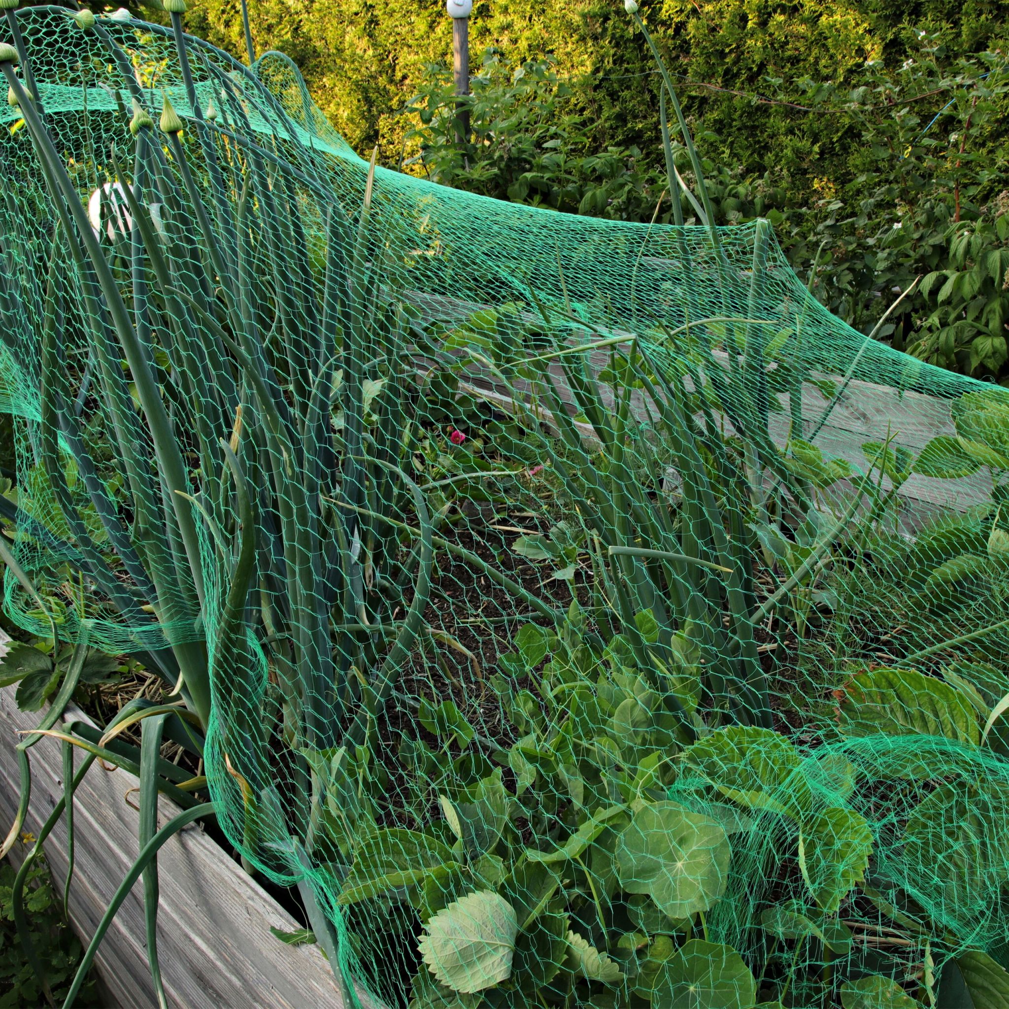 Engmaschiges Vogelnetz 3er-Set Grün von Relaxdays