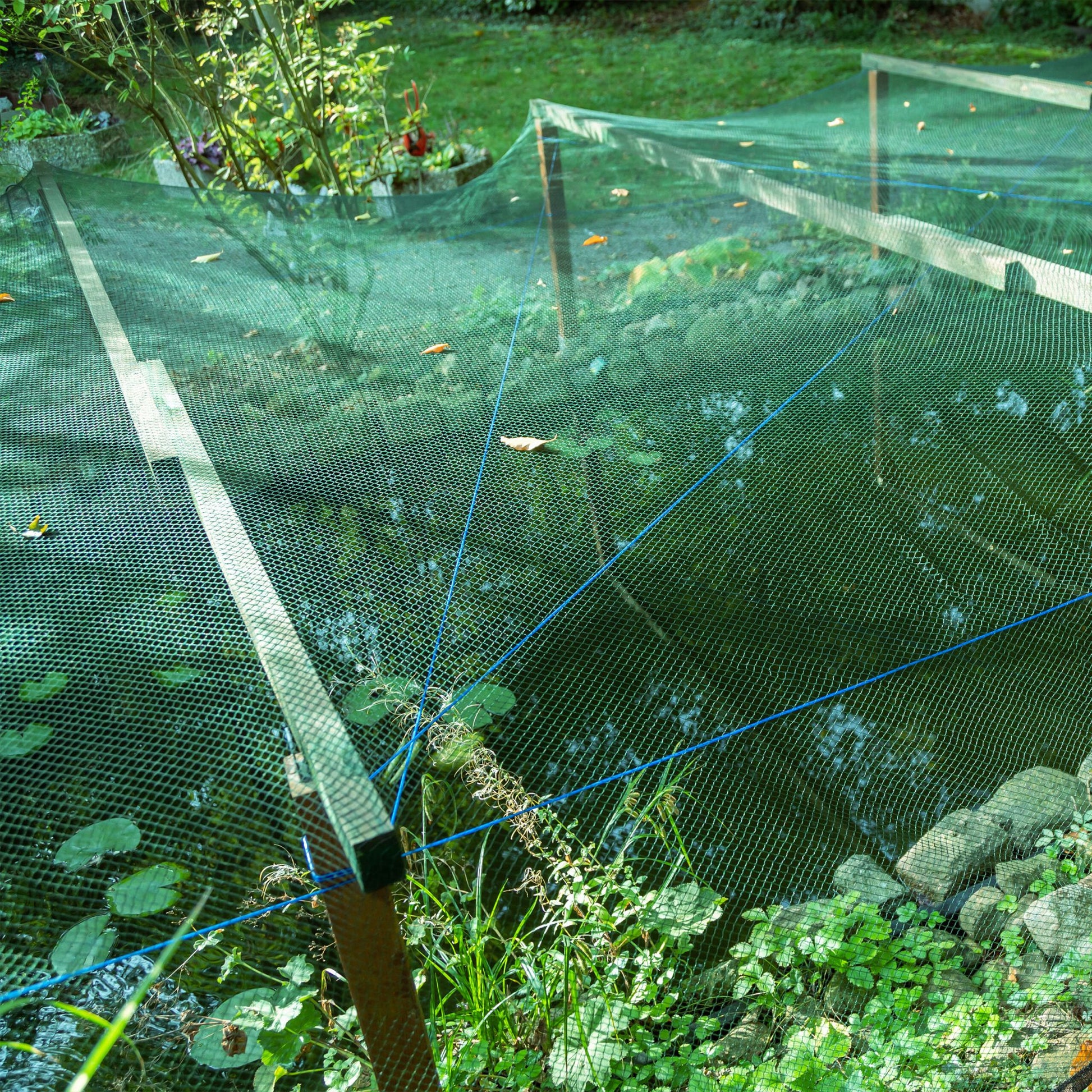 Engmaschiges Vogelnetz 3er-Set Grün von Relaxdays