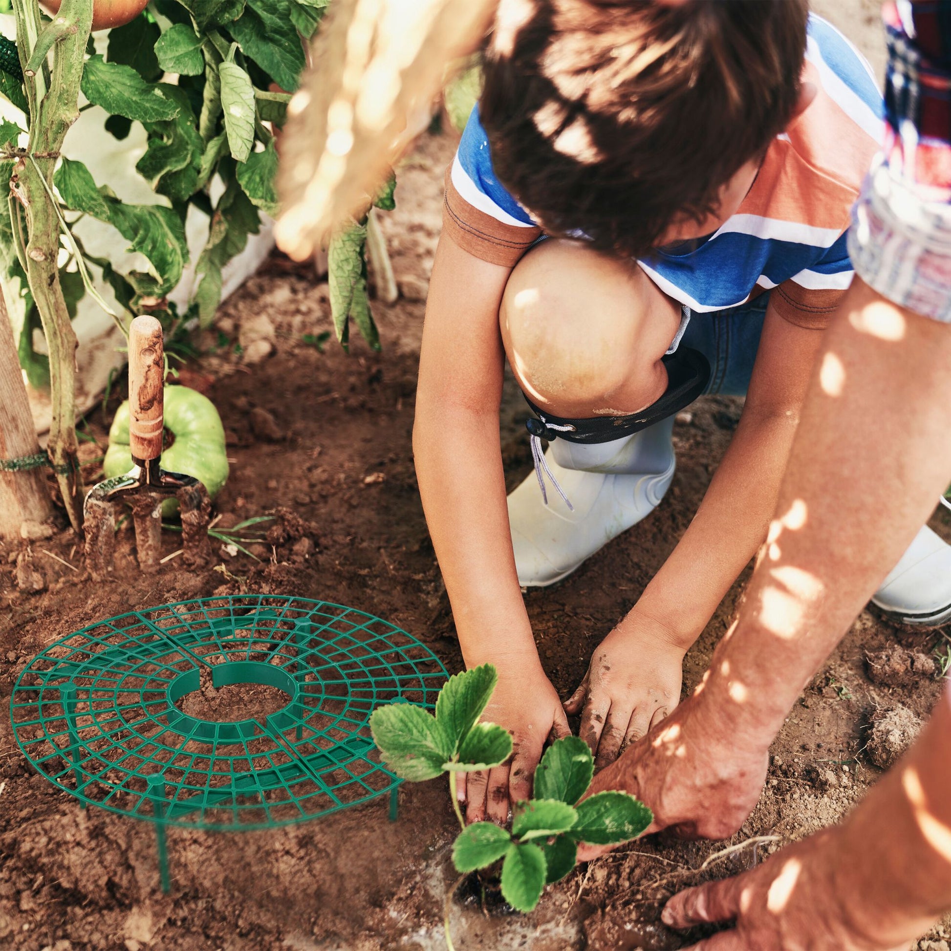 Erdbeerreifer 15er-Set Dunkelgrün von Relaxdays