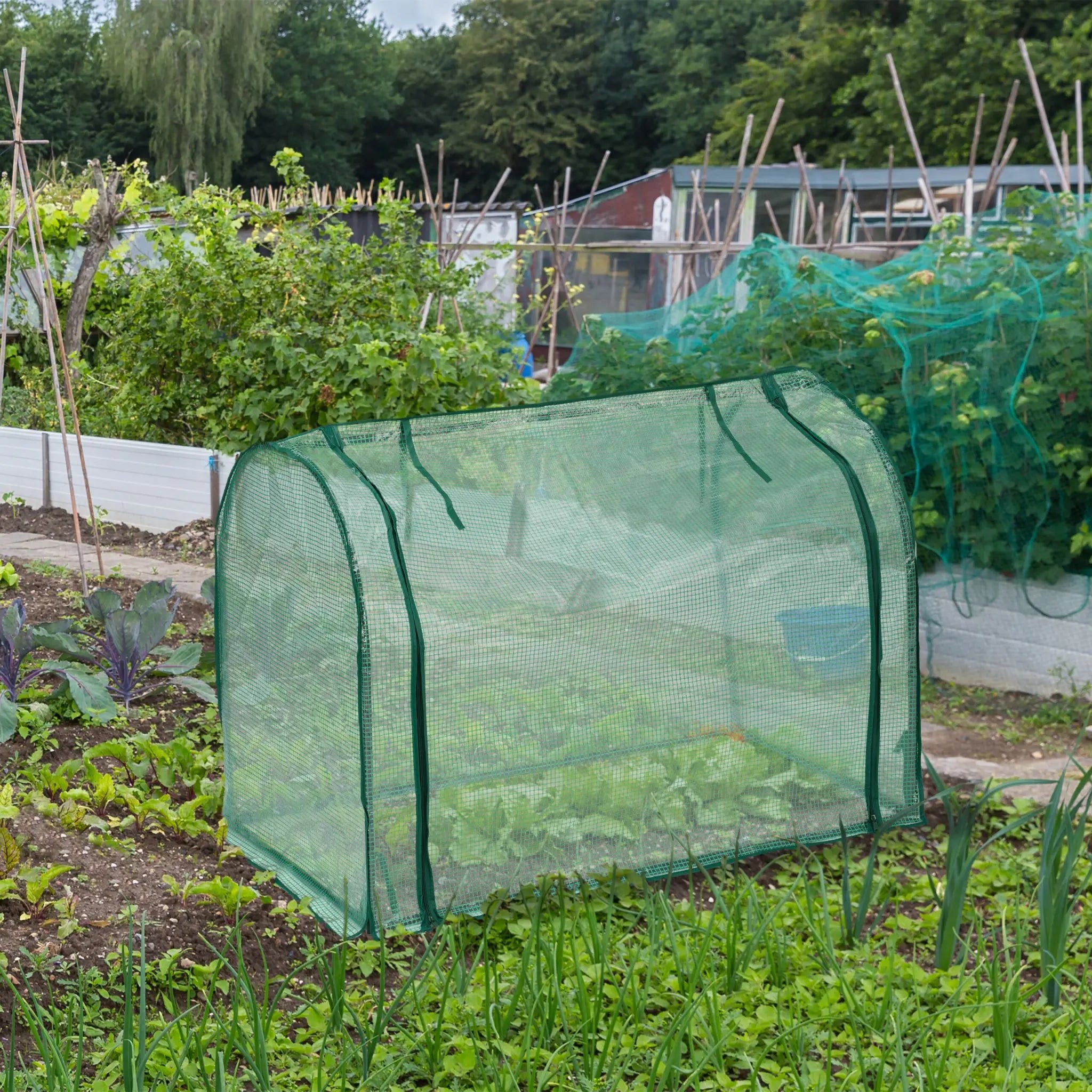 Foliengewächshaus mit Tür Dunkelgrün-Transparent von Relaxdays
