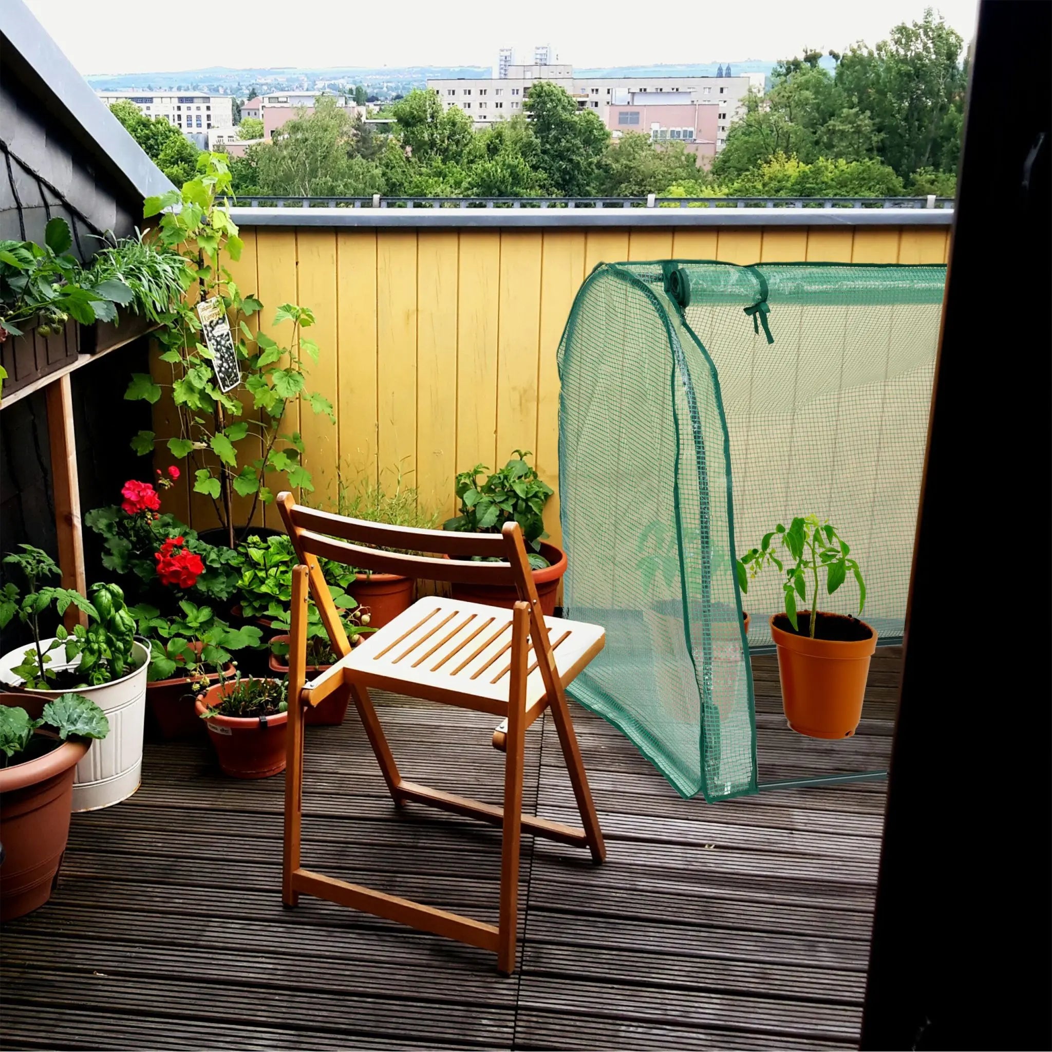 Foliengewächshaus mit Tür Dunkelgrün-Transparent von Relaxdays