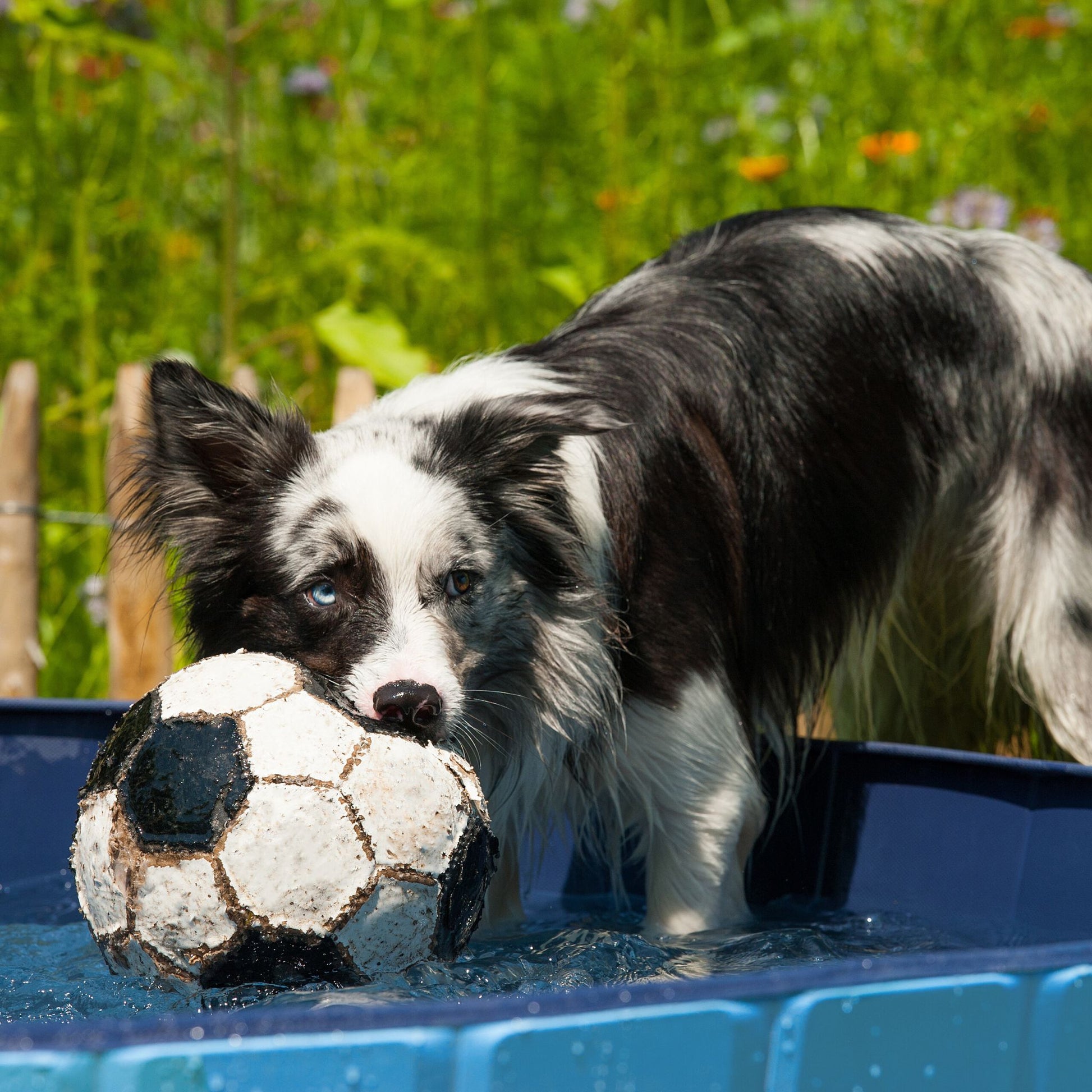 Hundepool Blau-Hellblau-Schwarz von Relaxdays