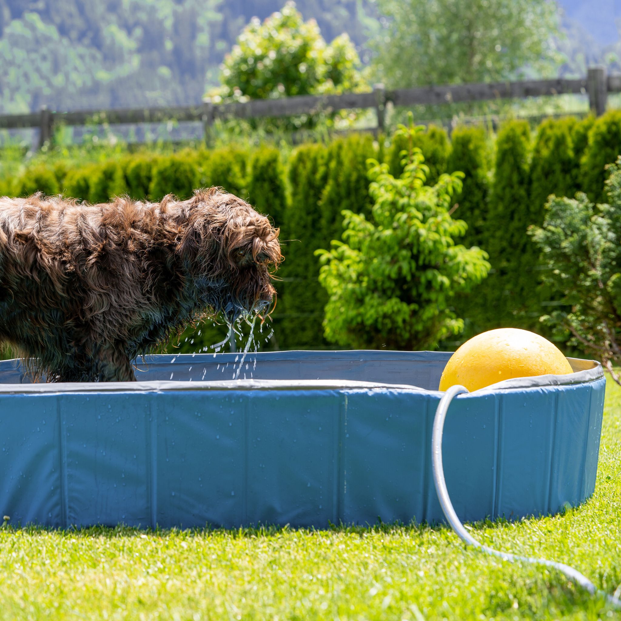Hundepool Blau-Hellblau-Schwarz von Relaxdays