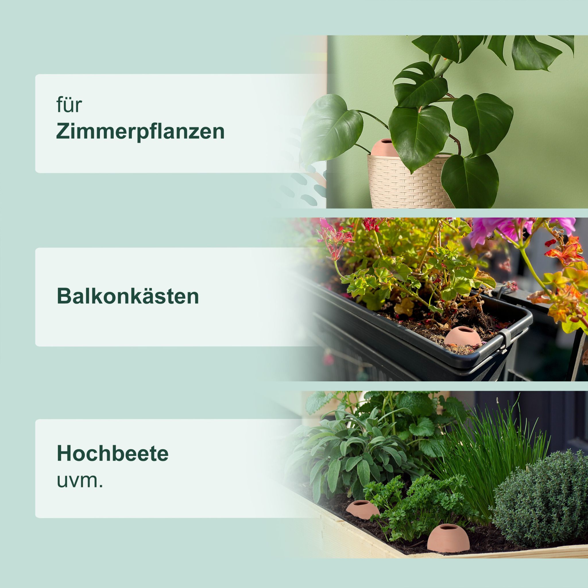 Tonkegel zur Bewässerung 6er-Set Hellbraun von Relaxdays