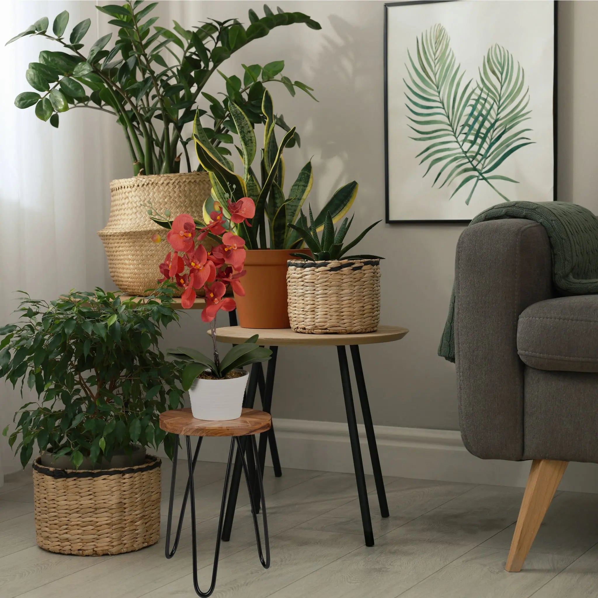 Retro Blumenhocker Akazie Dunkelbraun-Schwarz von Relaxdays