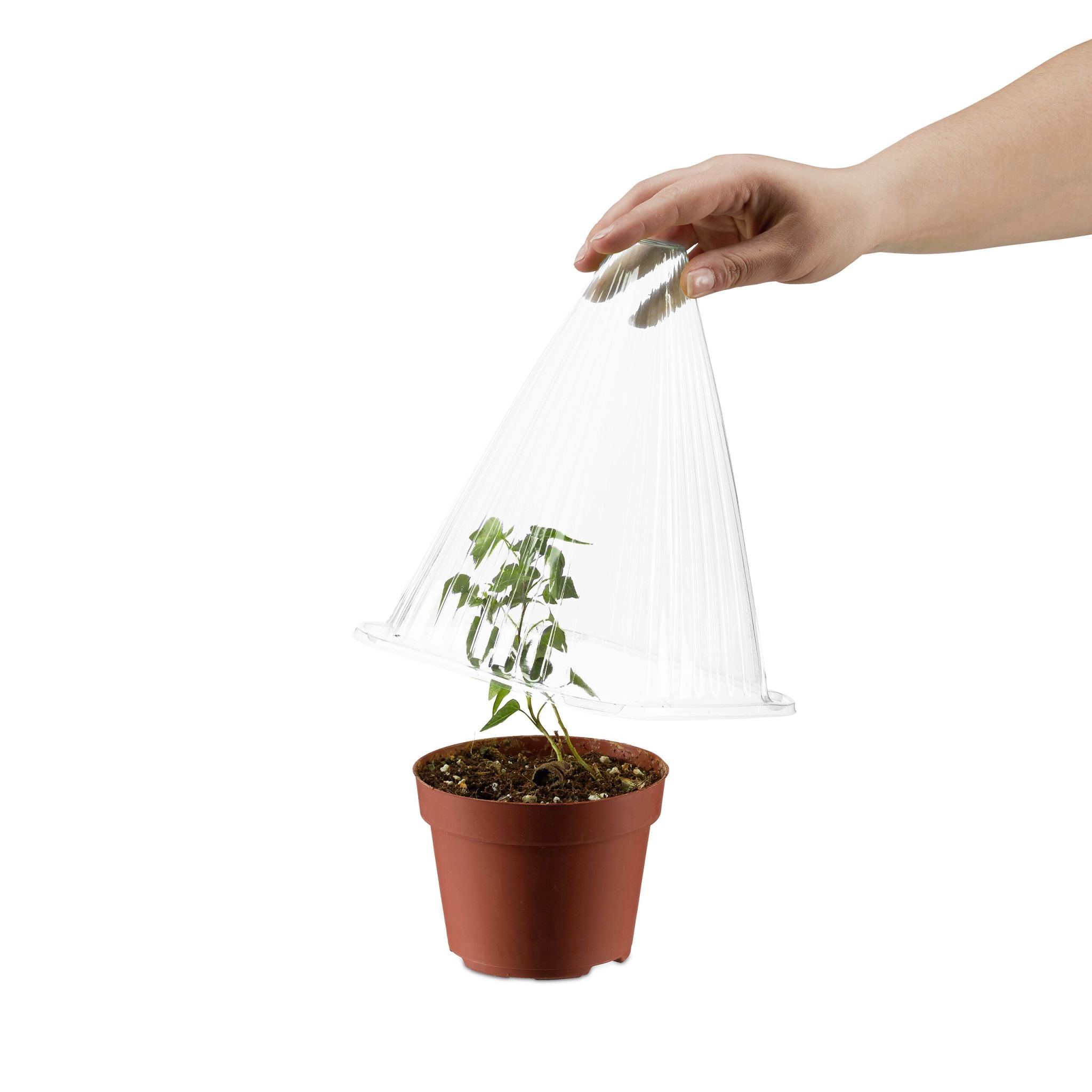 Pflanzenhut 10er-Set Transparent von Relaxdays