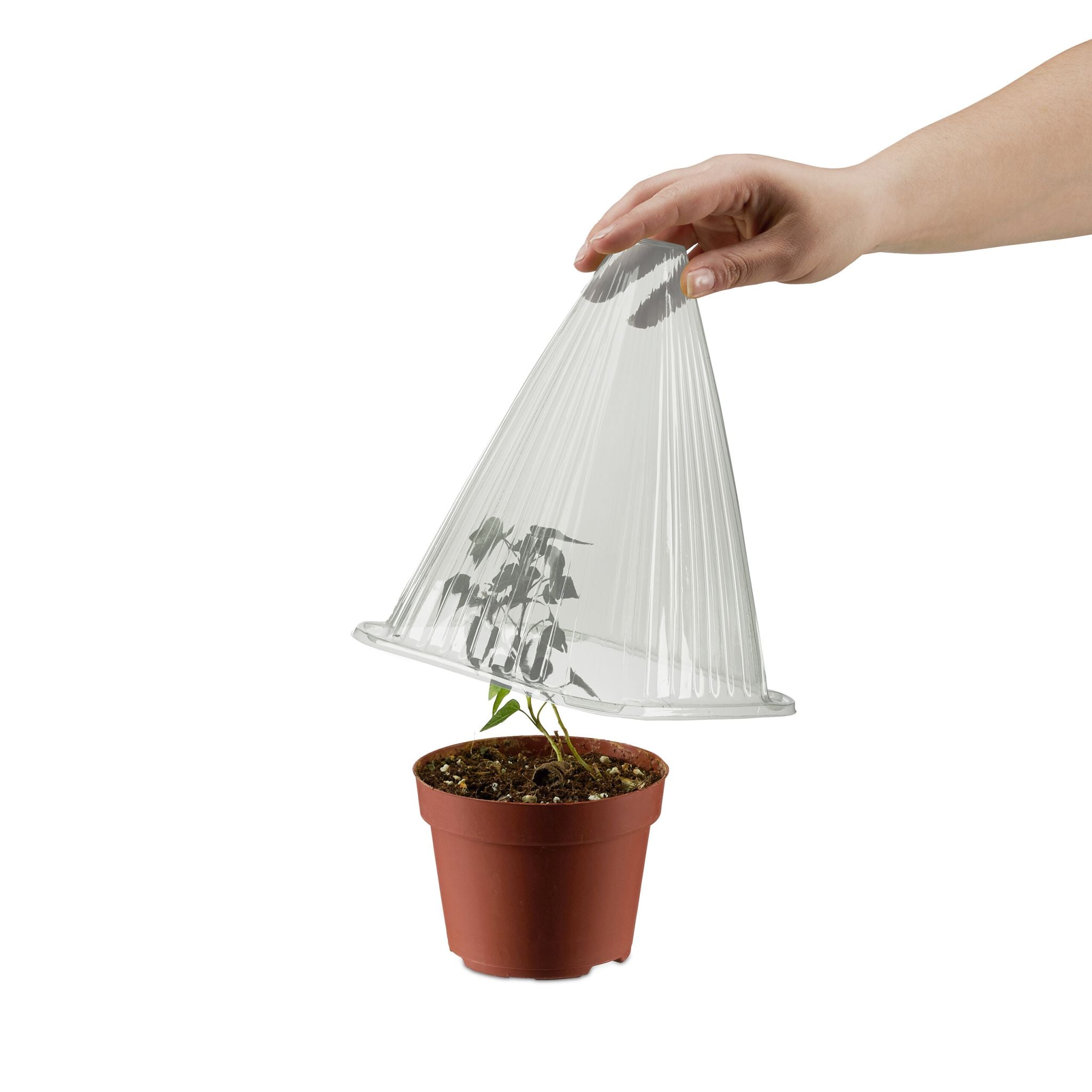 Pflanzenhut 10er-Set Grau von Relaxdays