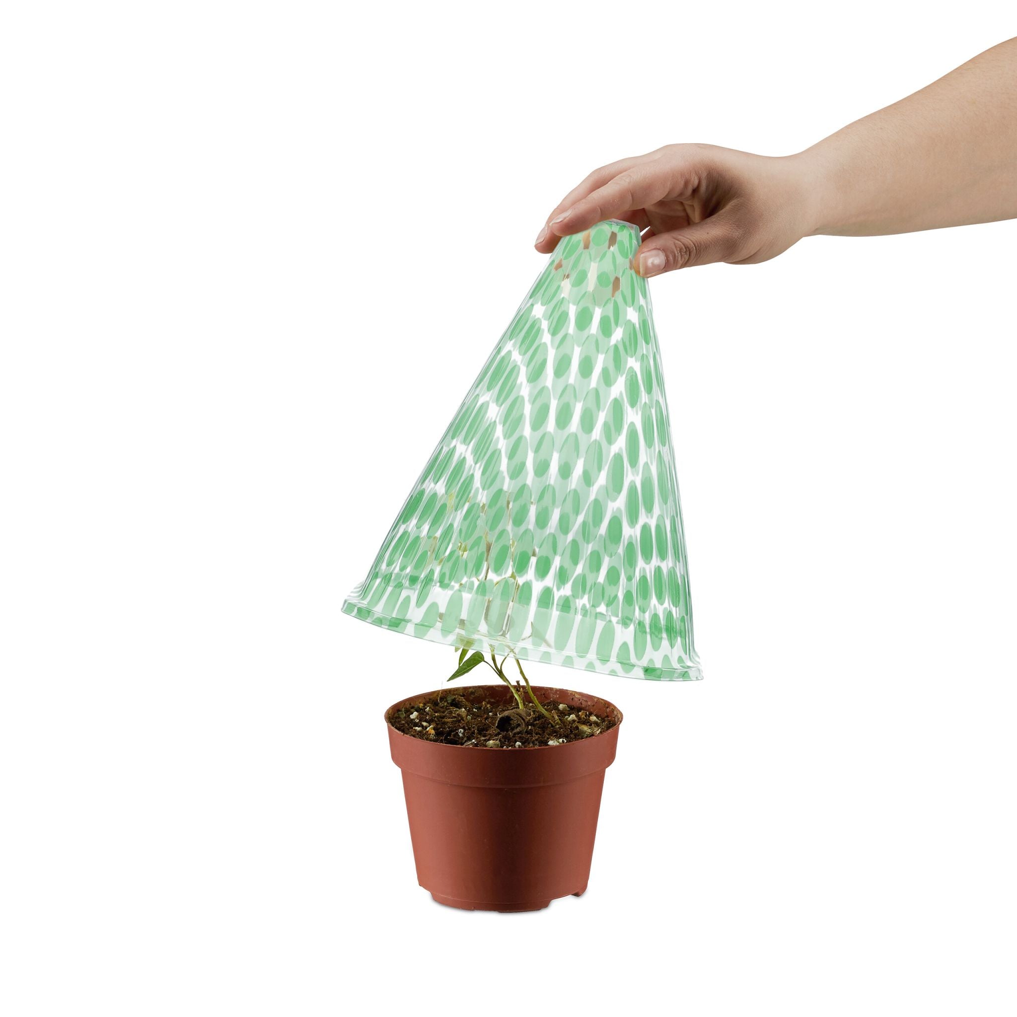 Pflanzenhut 10er-Set Grün-Transparent von Relaxdays