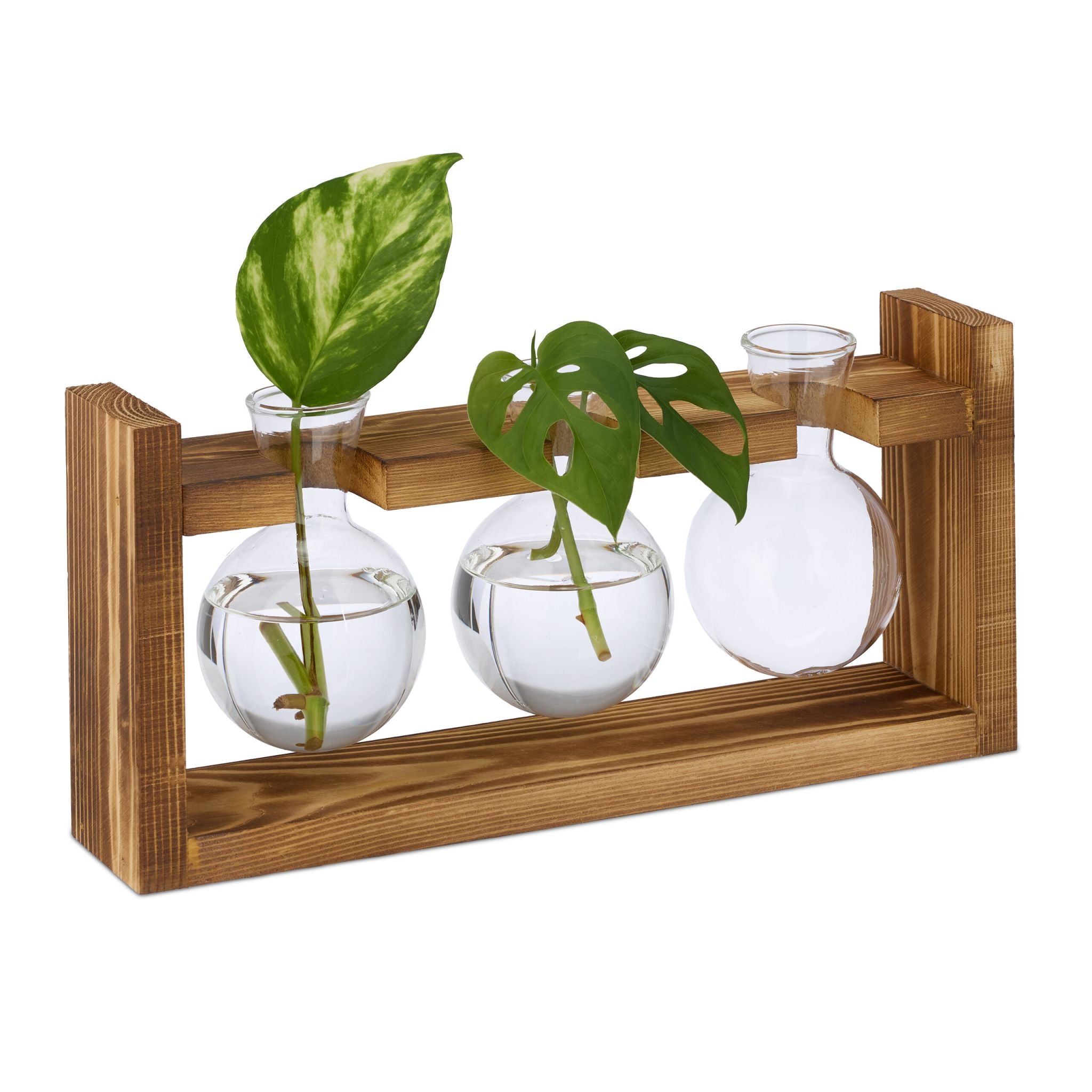 Reagenzglas Vase mit Ständer Braun-Transparent von Relaxdays