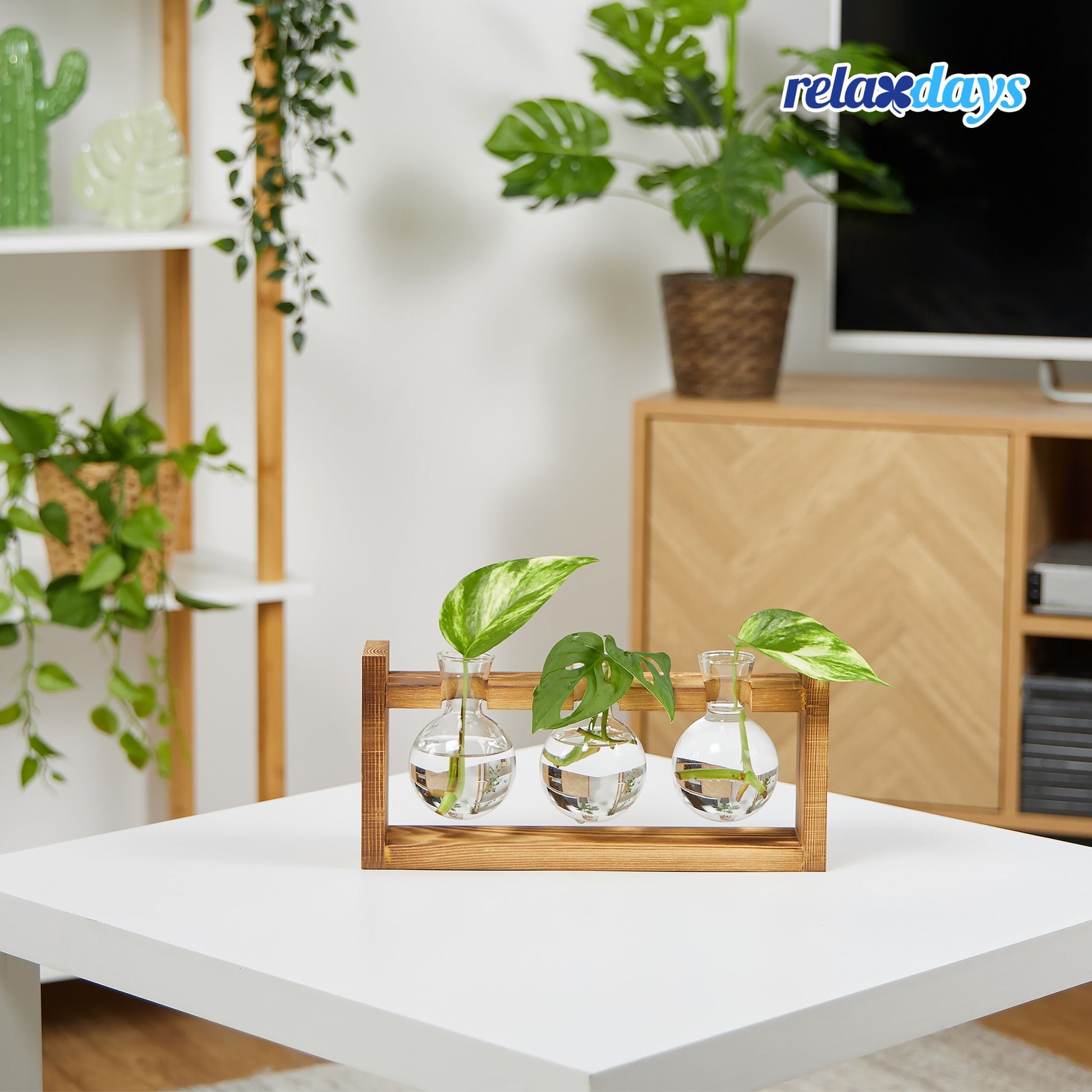 Reagenzglas Vase mit Ständer Braun-Transparent von Relaxdays
