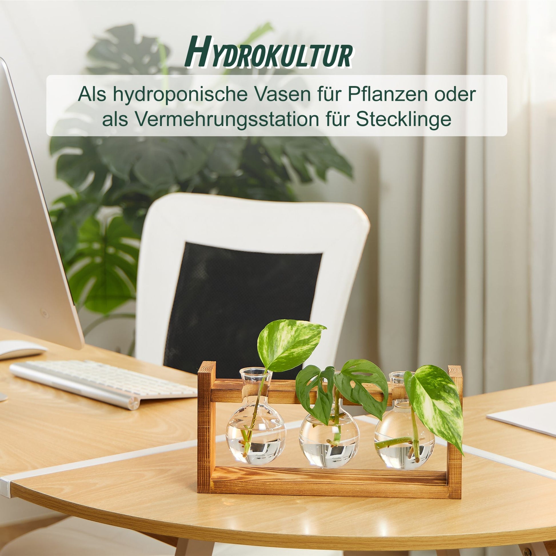 Reagenzglas Vase mit Ständer Braun-Transparent von Relaxdays